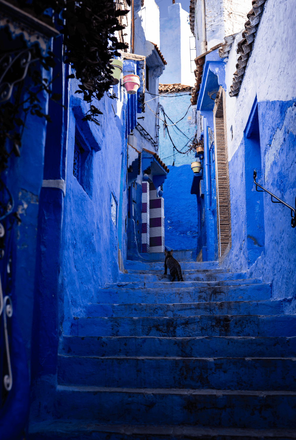 Шефшауэн, Марокко