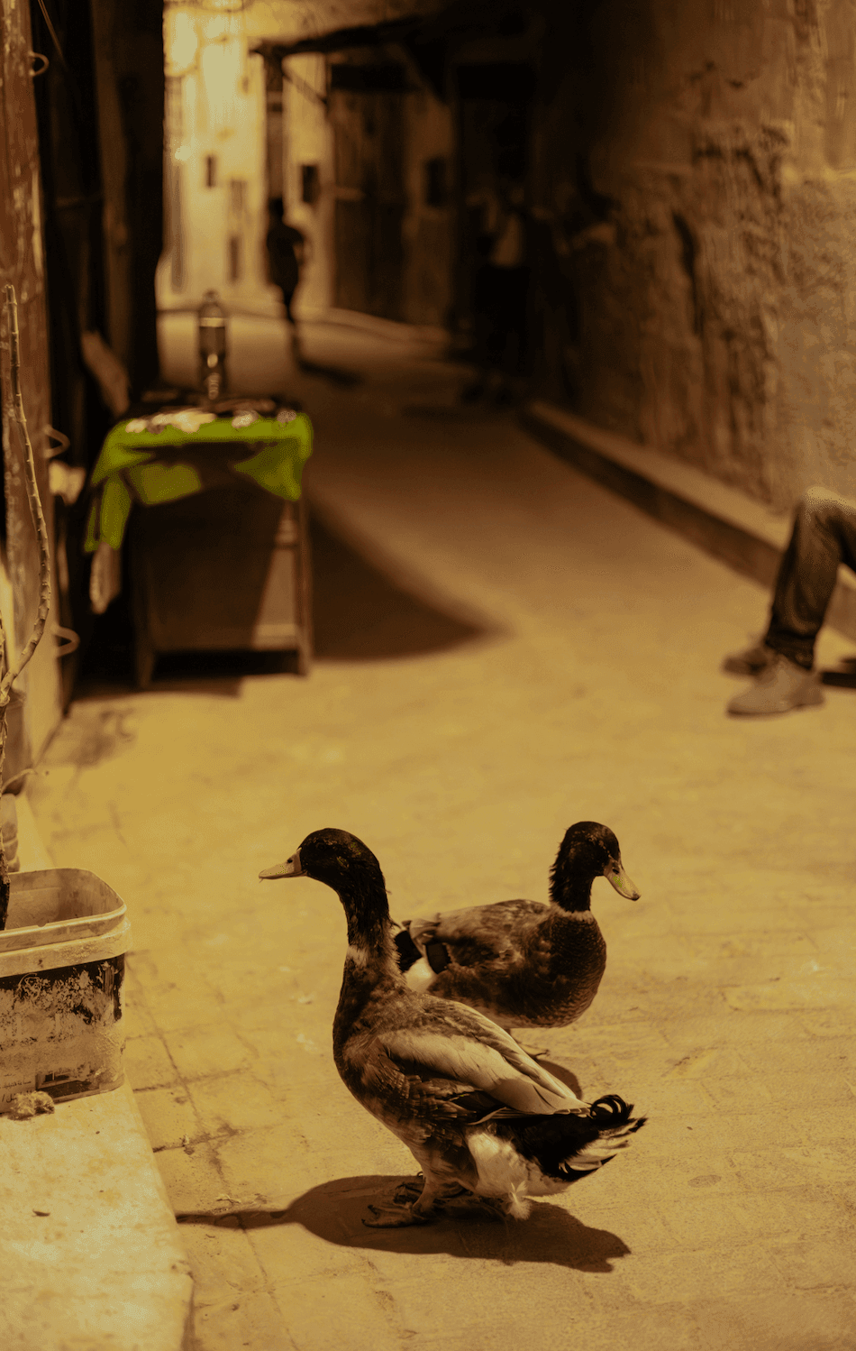 Фес, Марокко