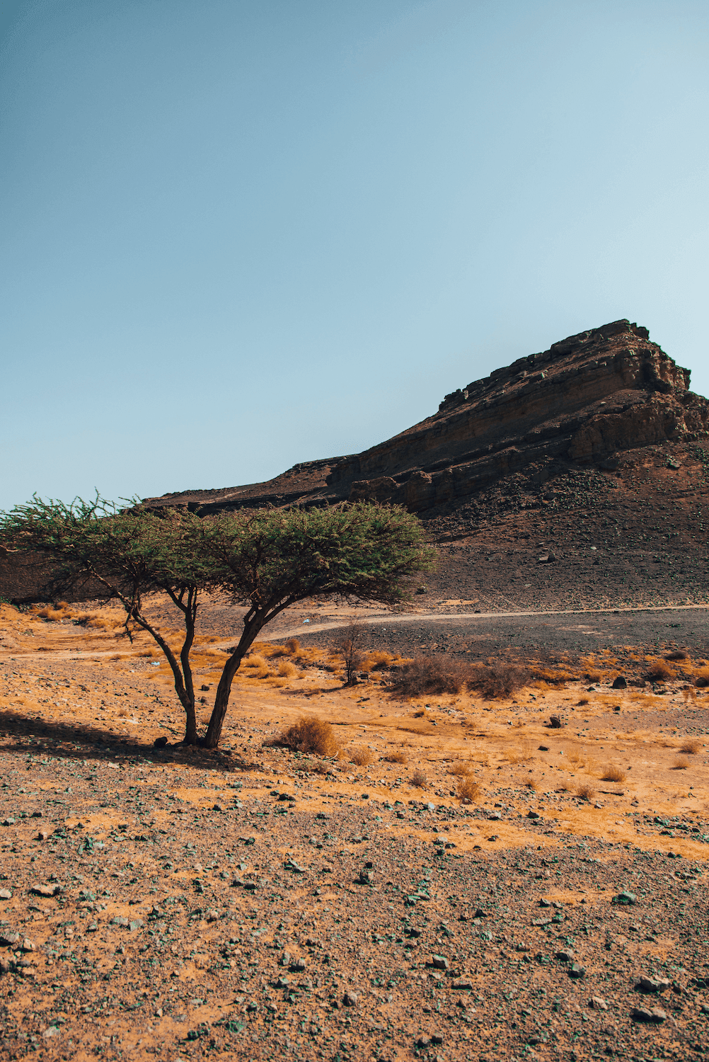 Гара Медуар в Марокко