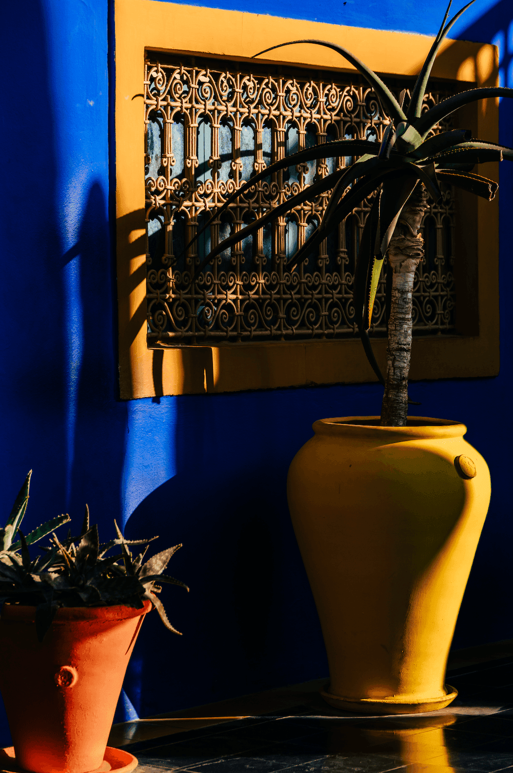 Сад Мажорель в Марокко