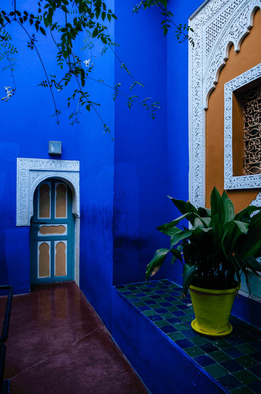 Сад Мажорель в Марокко