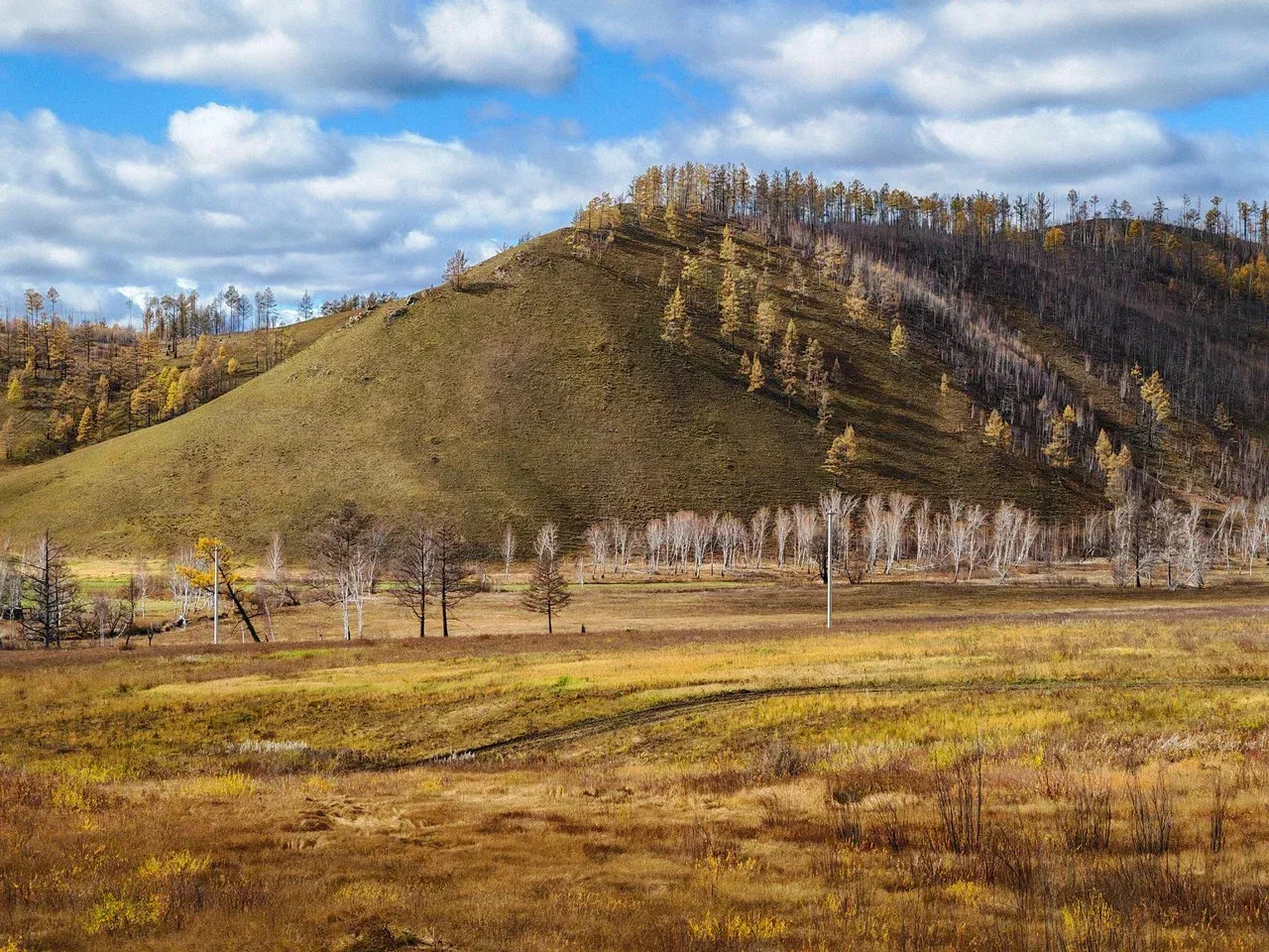 Сопки Сибири