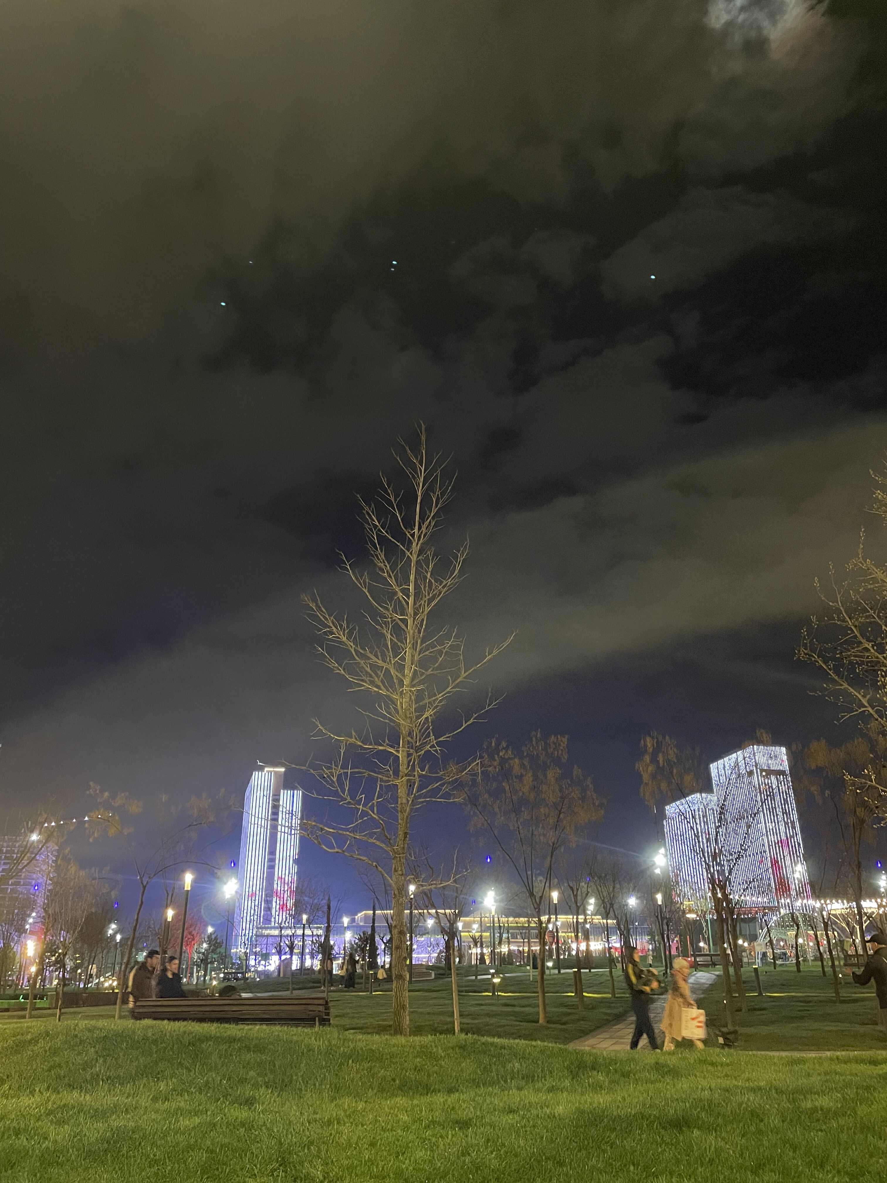 Tashkent City Park 2.jpg