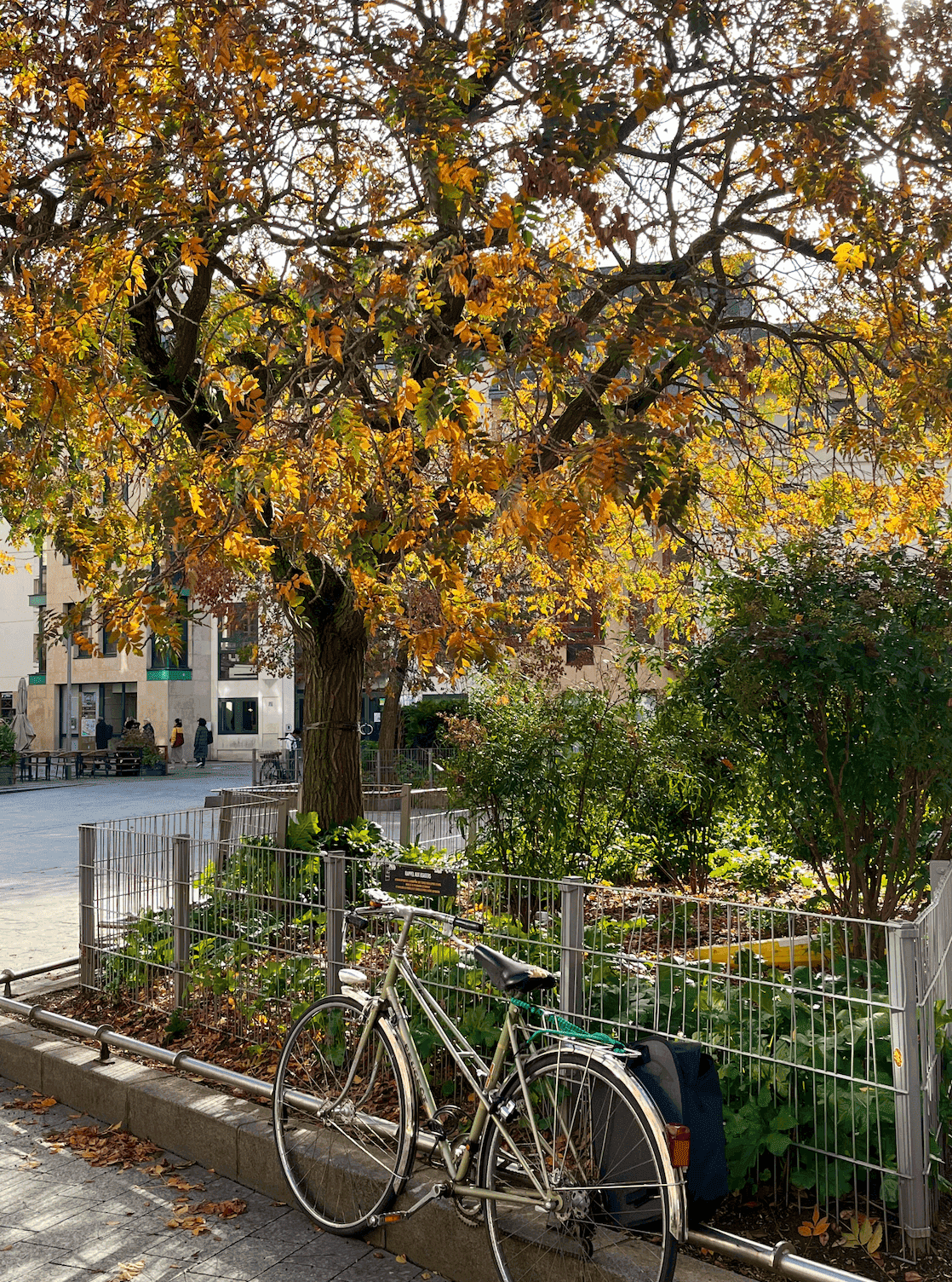 Улица Руана во Франции