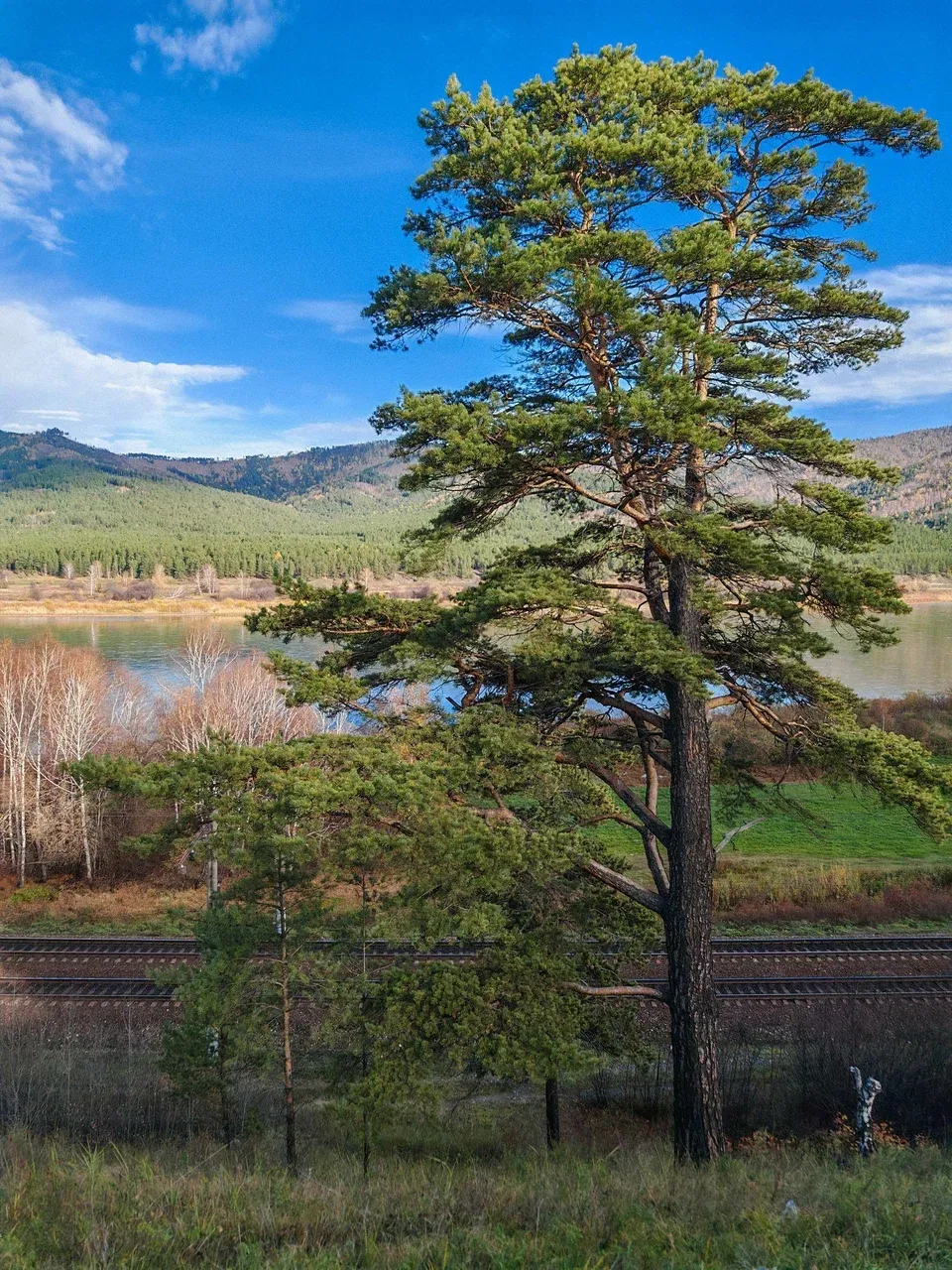 Вид на Транссибирскую магистраль