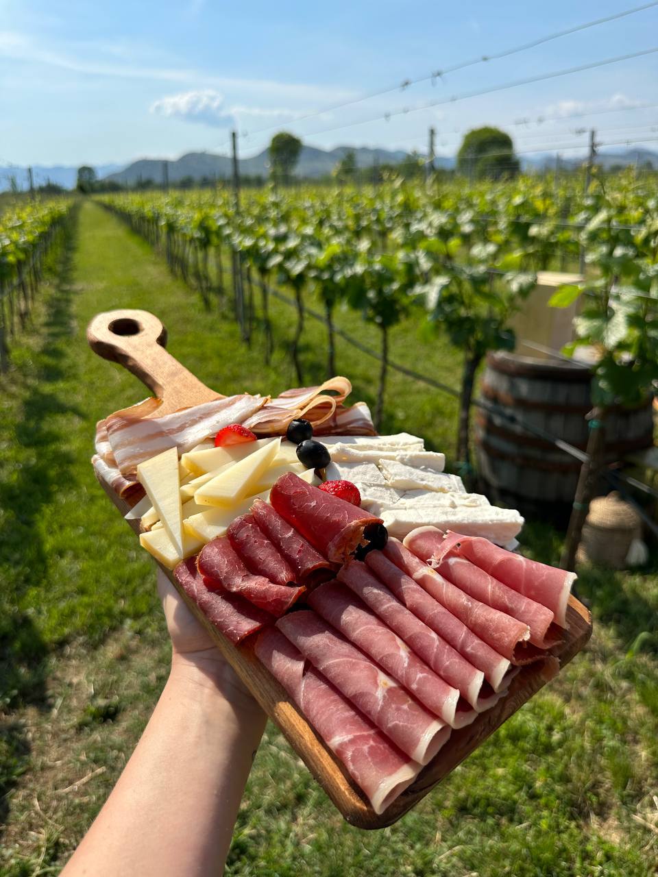 Винодельня в Черногории