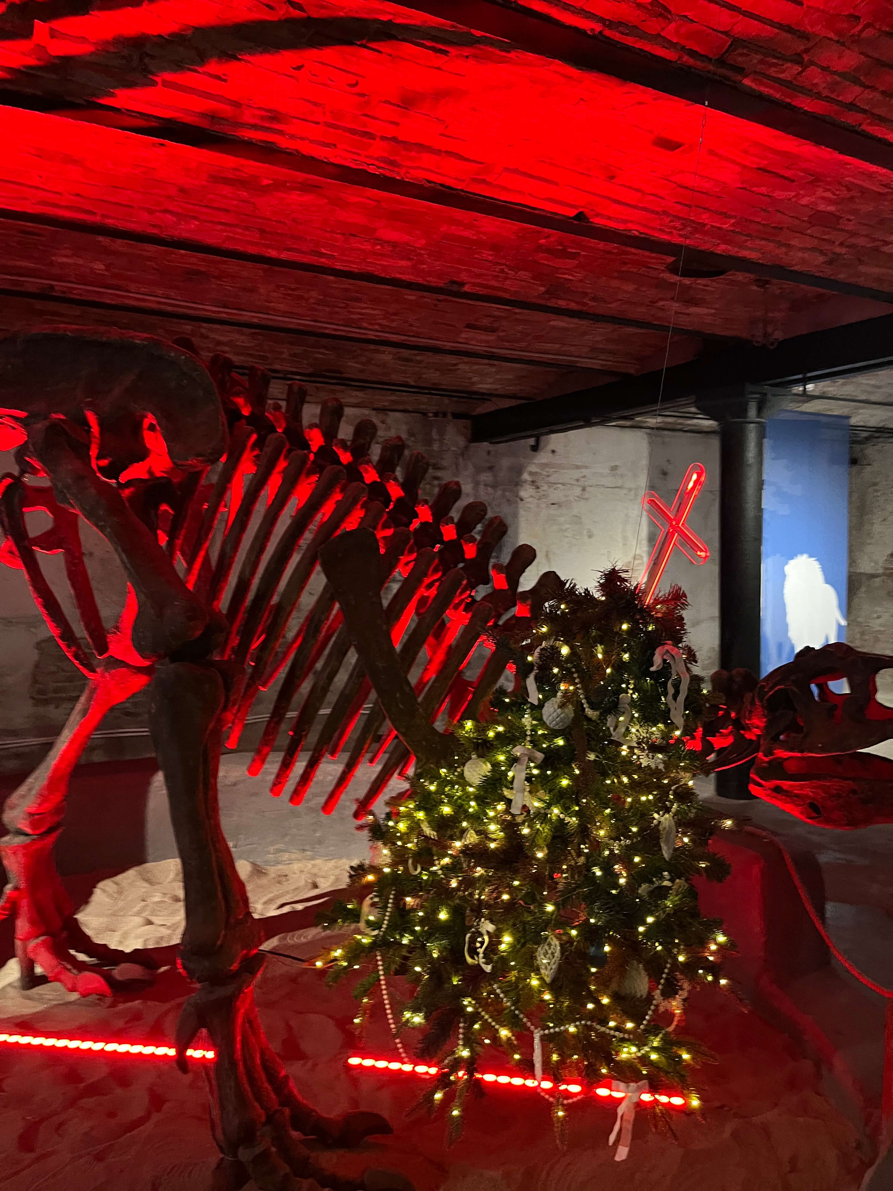 Выставка в Калининграде