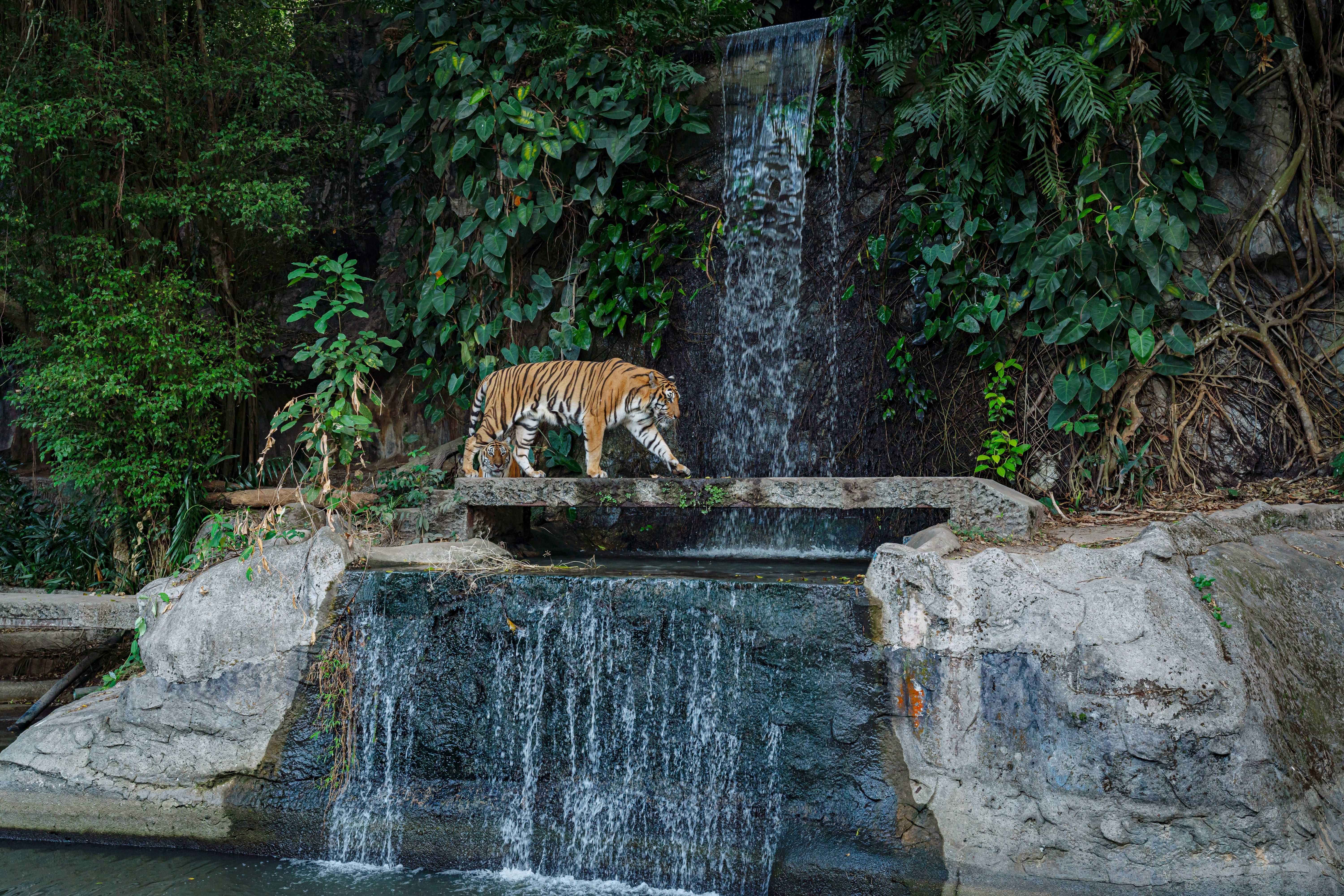 что посмотреть в Паттайе