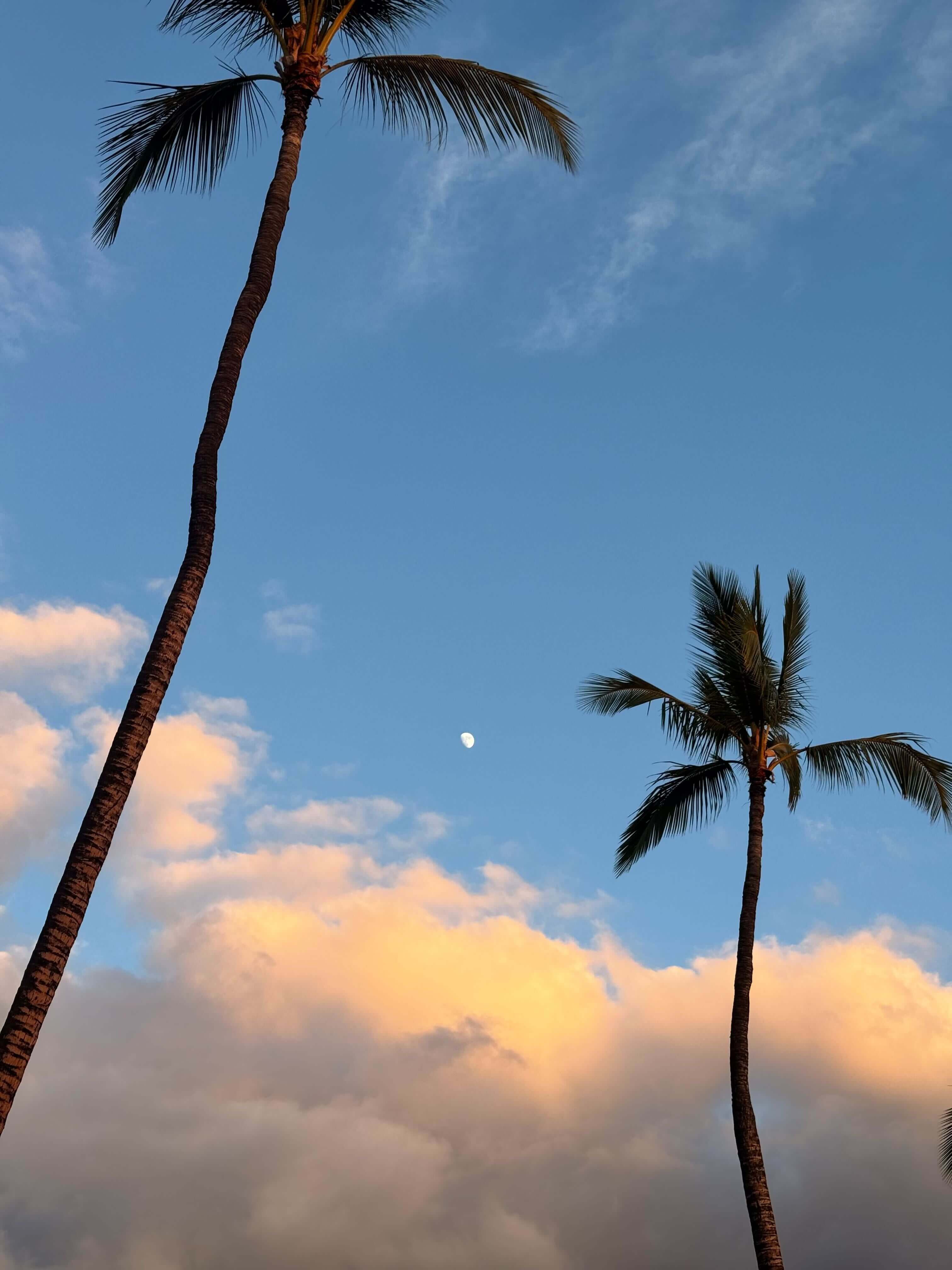 big island Hapuna Beach 2.jpg