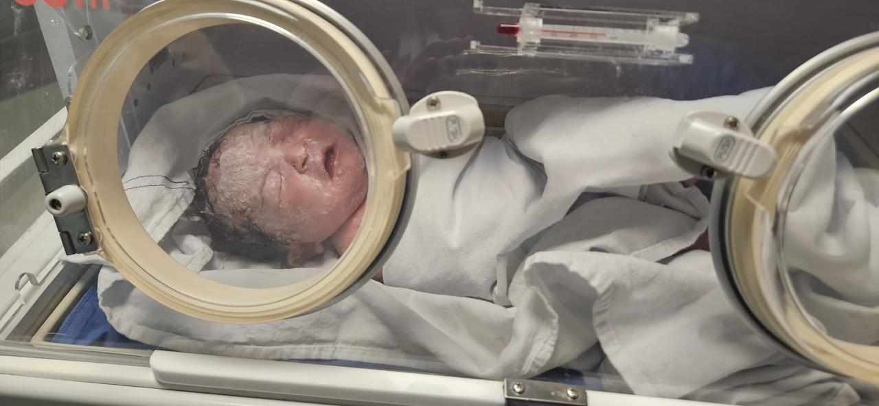 бокс после рождения.jpeg