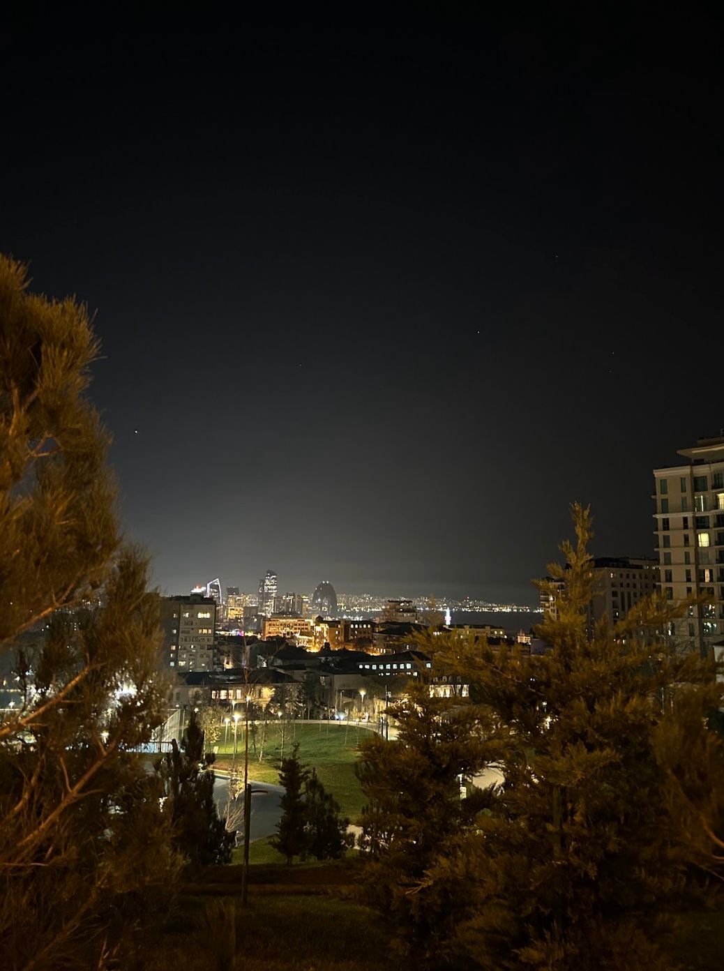 централ парк ночью.jpg