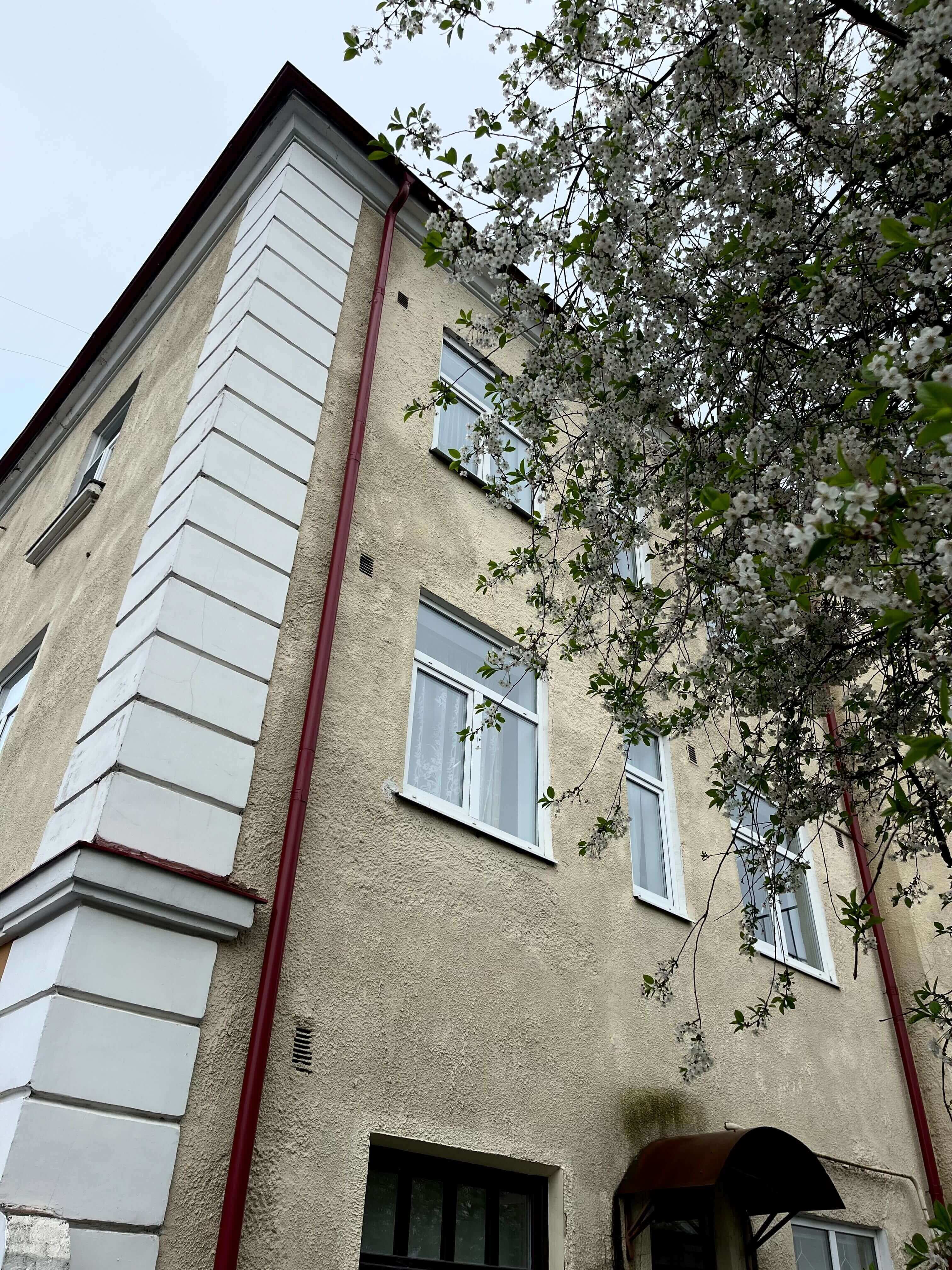 цветение_в_Сортавале.jpg