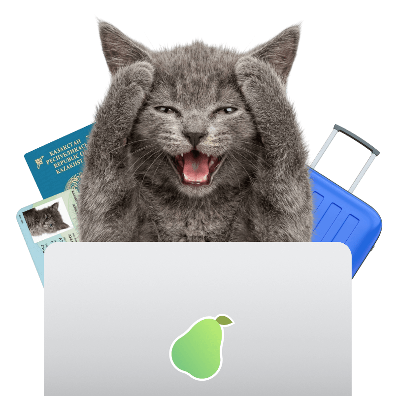 Как правильно заполнить данные при покупке авиабилета