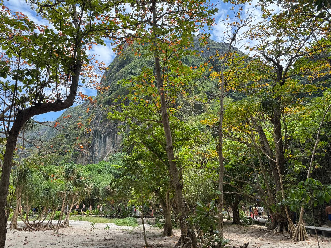 Бухта Майя Бэй в Таиланде