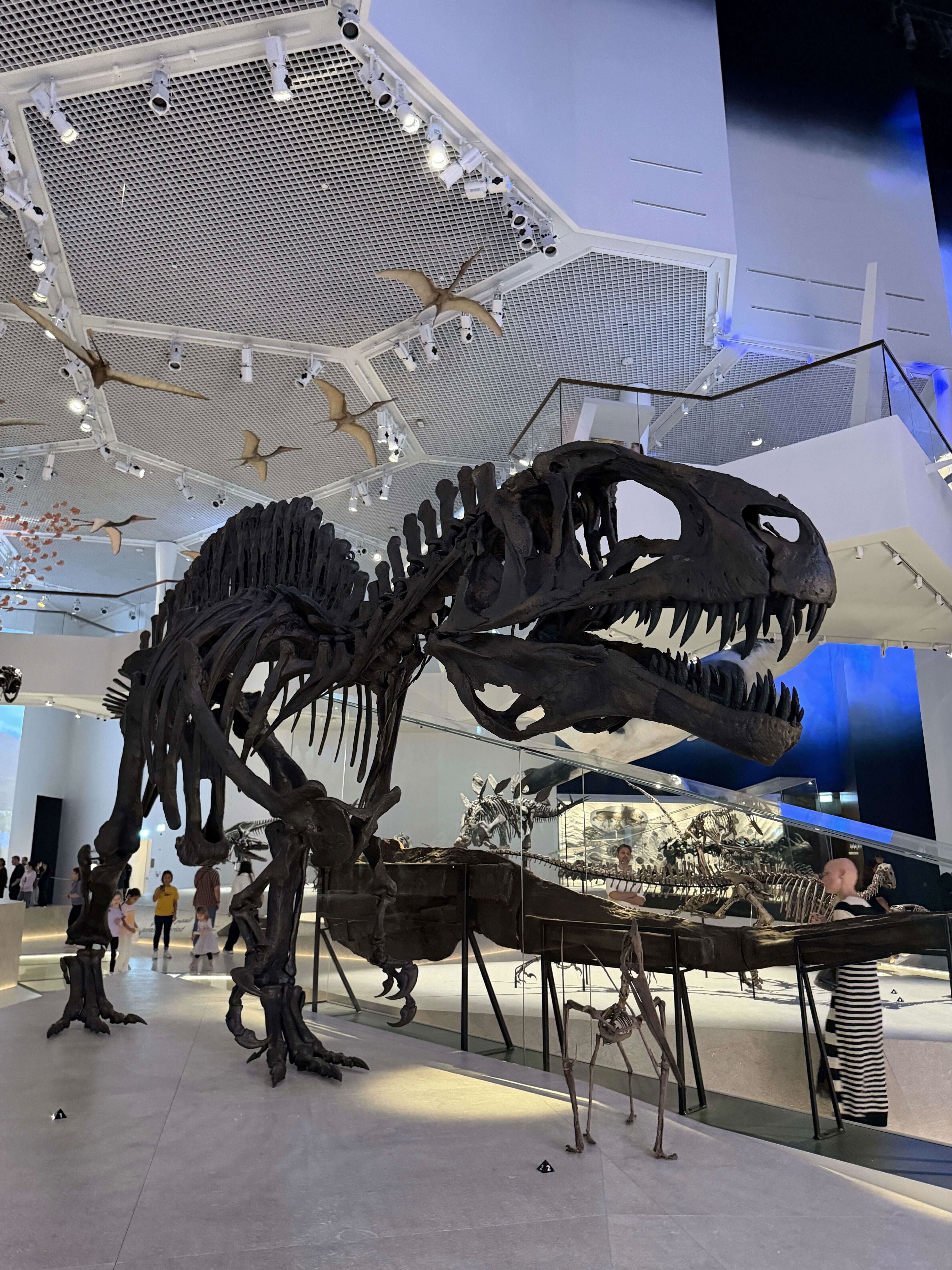 исторический музей3.jpg