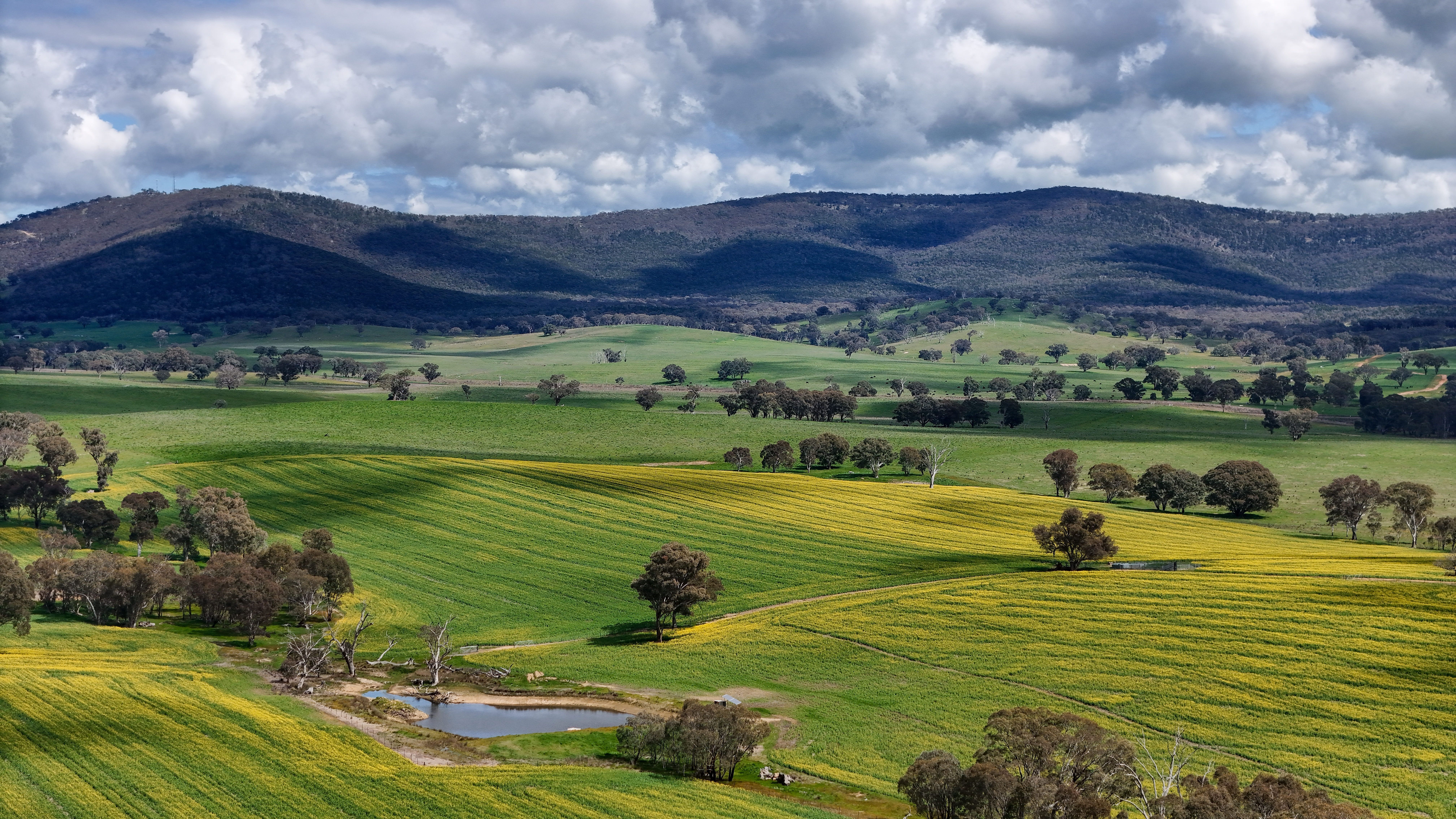 как получить визу в Австралию