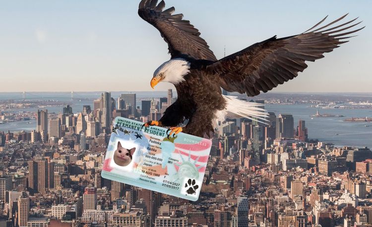 Qizil yonoqli ayol bilan jinsiy aloqa