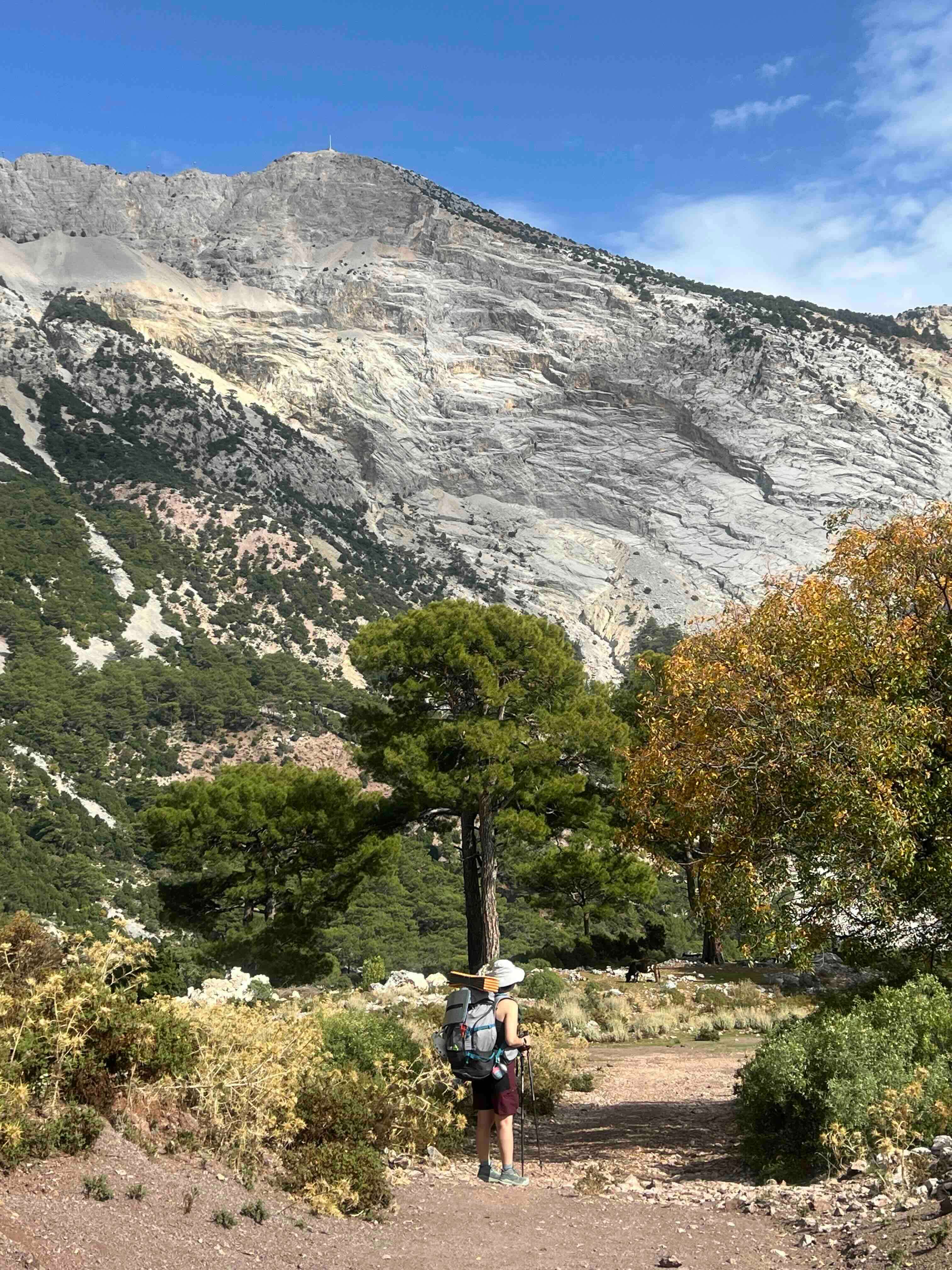 на фоне гор.jpeg