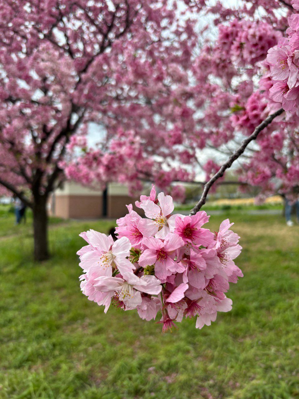 photo_2026-02-10 14.12.06.jpeg