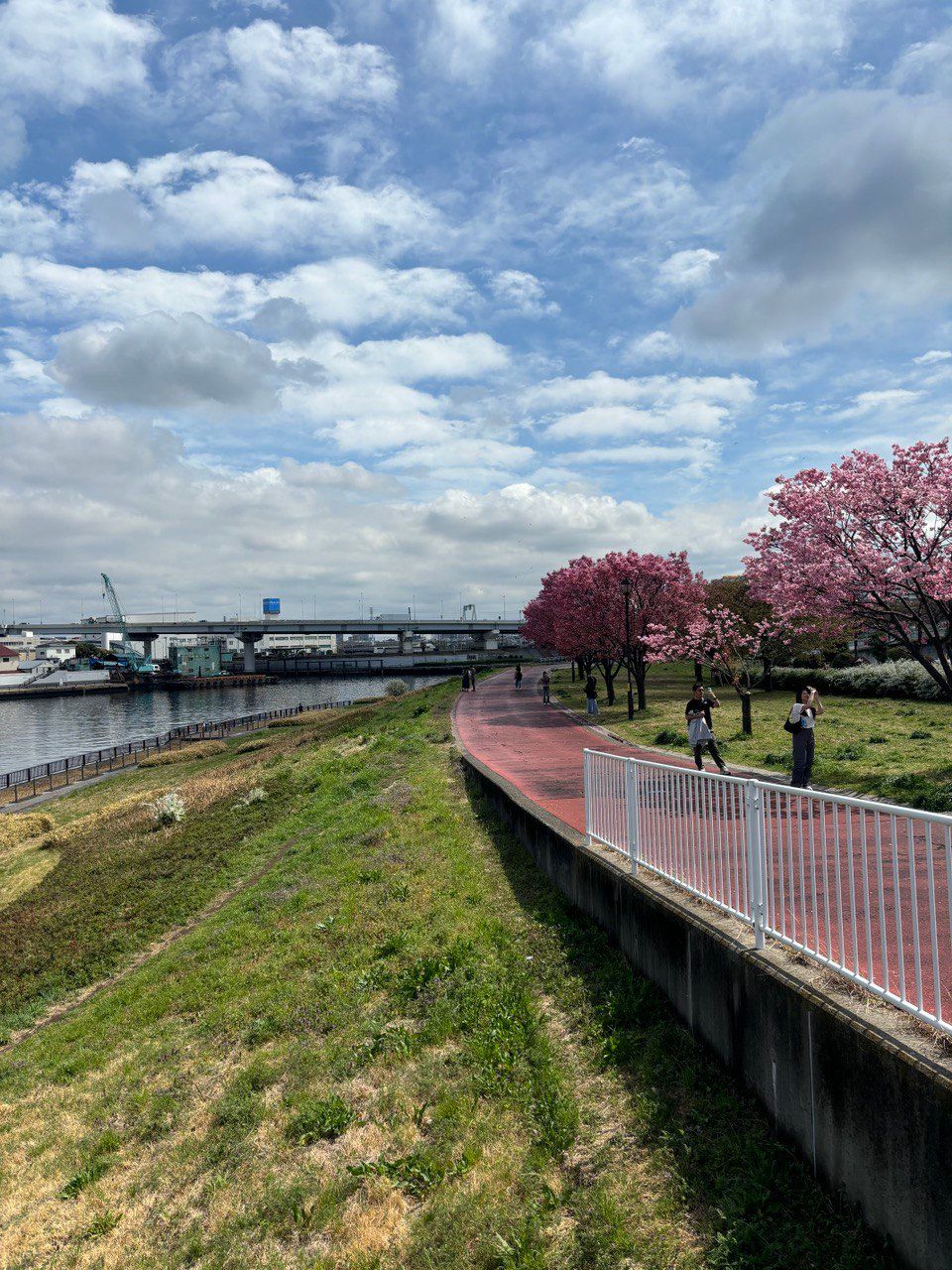 photo_2026-02-10 14.12.08.jpeg