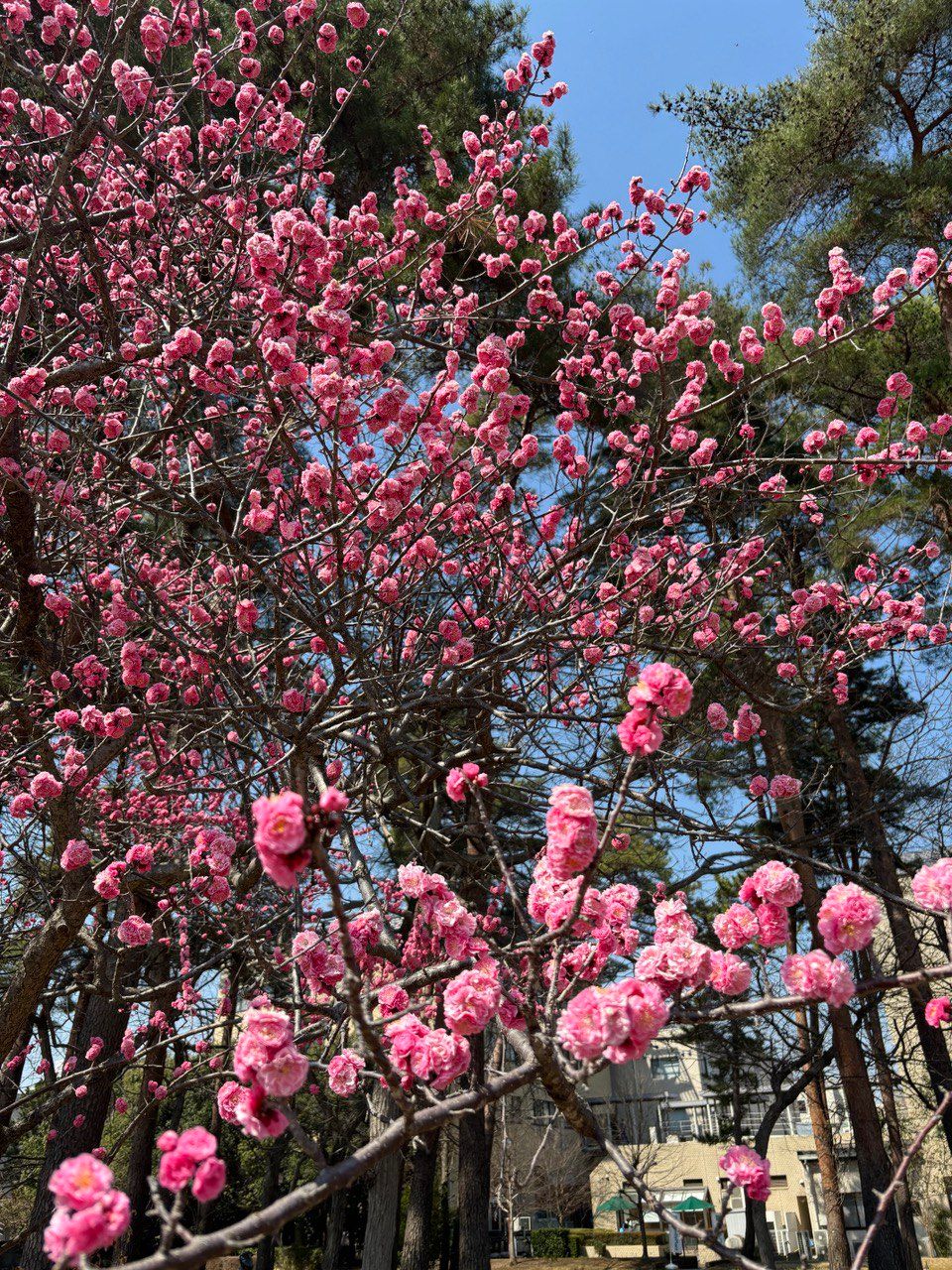 photo_2026-02-10 14.12.12.jpeg