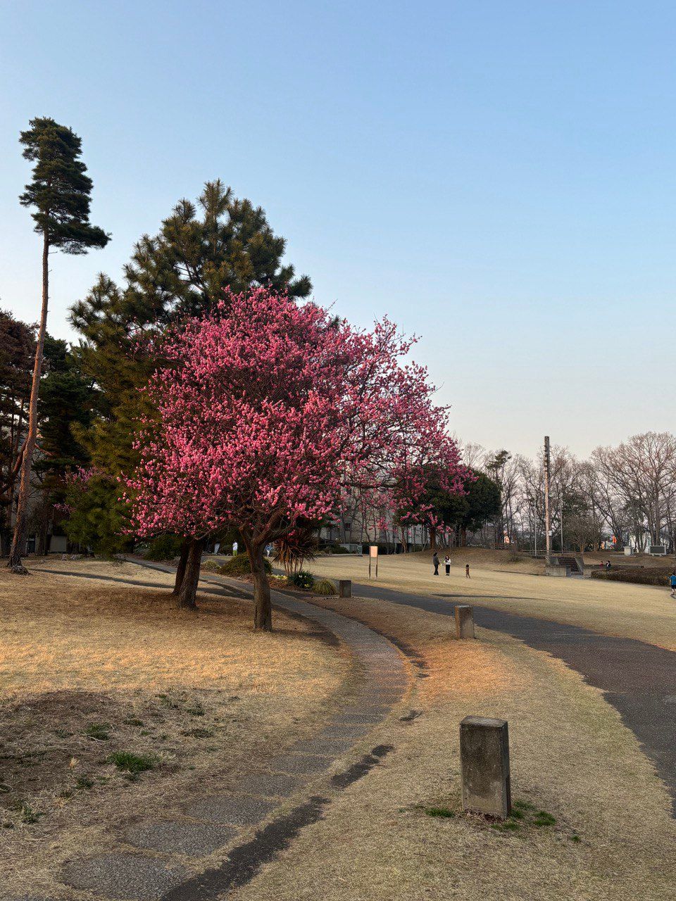 photo_2026-02-10 14.12.14.jpeg