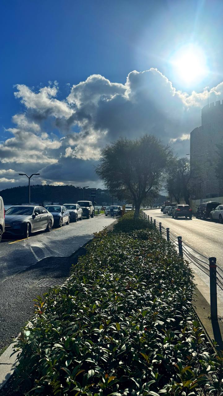 photo_2026-03-11_01-25-26 (2).jpg