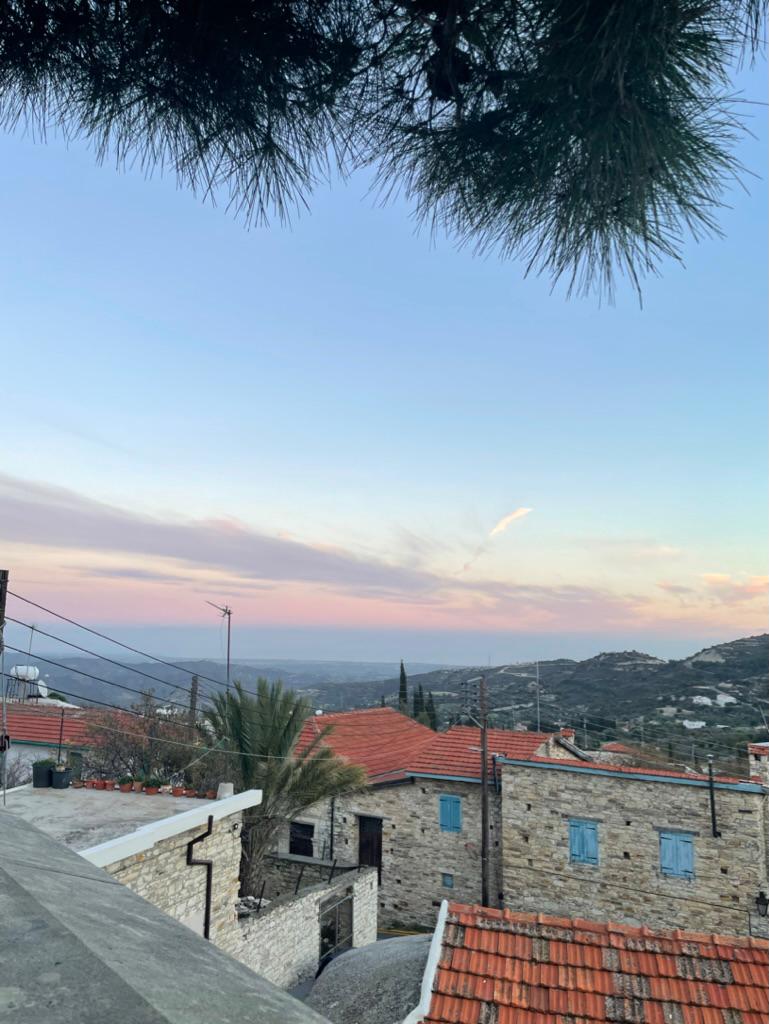 photo_2026-03-31_22-01-36 (2).jpg