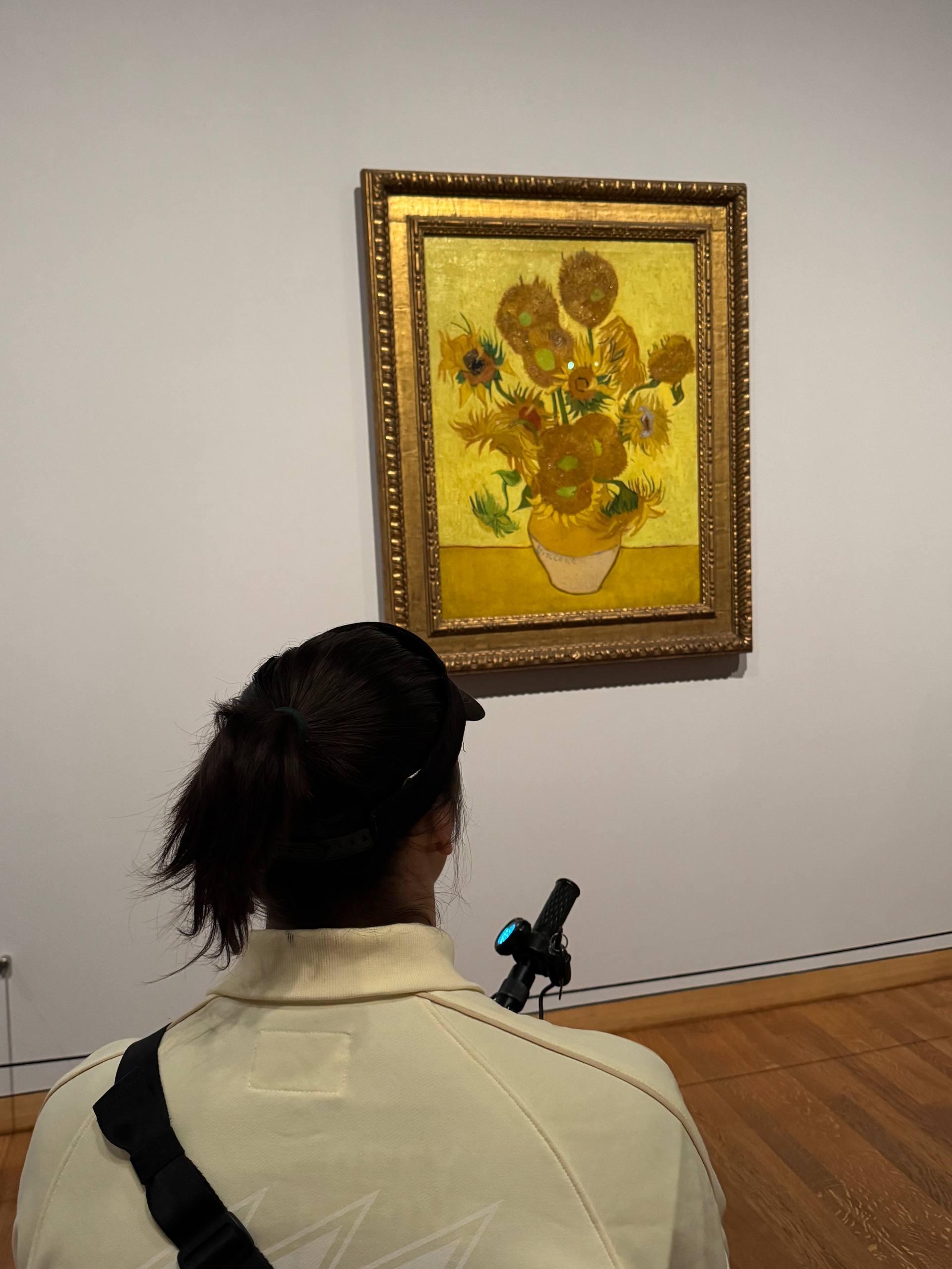 подсолнухи Ван Гога.jpg