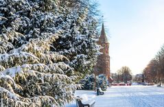 В Европу без шенгена: что делать в Калининграде