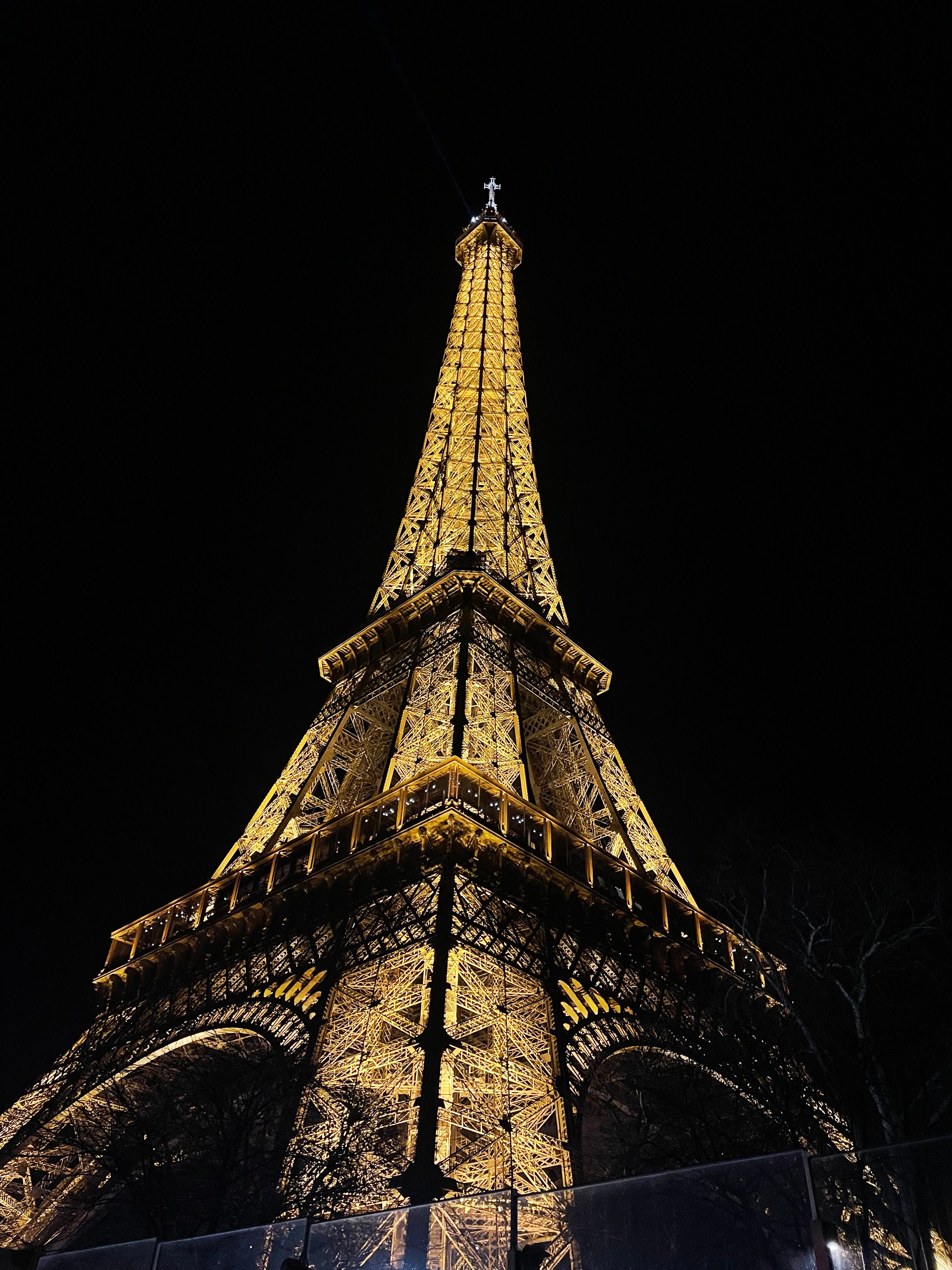 seva europe (4).jpg