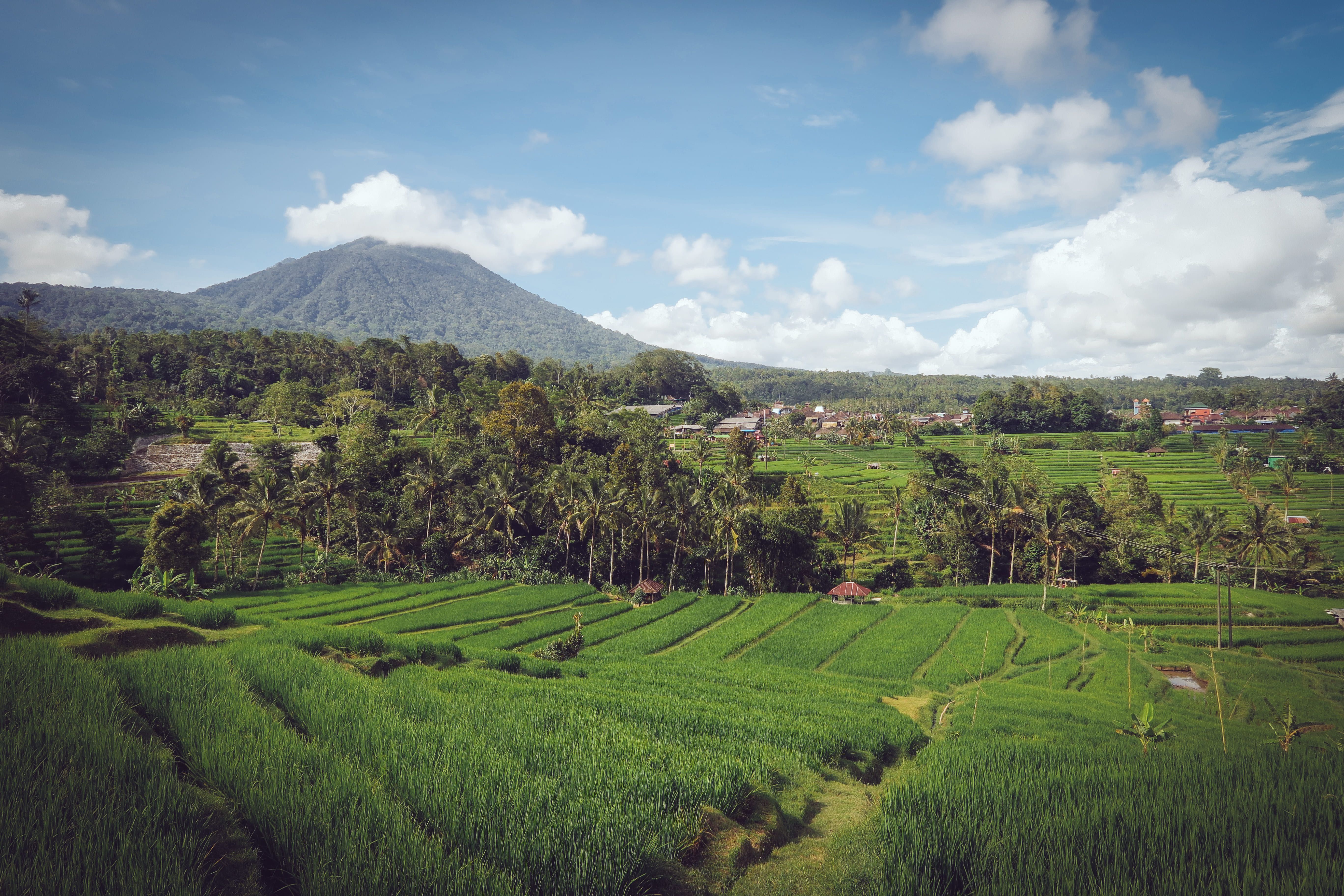 когда ехать на Бали
