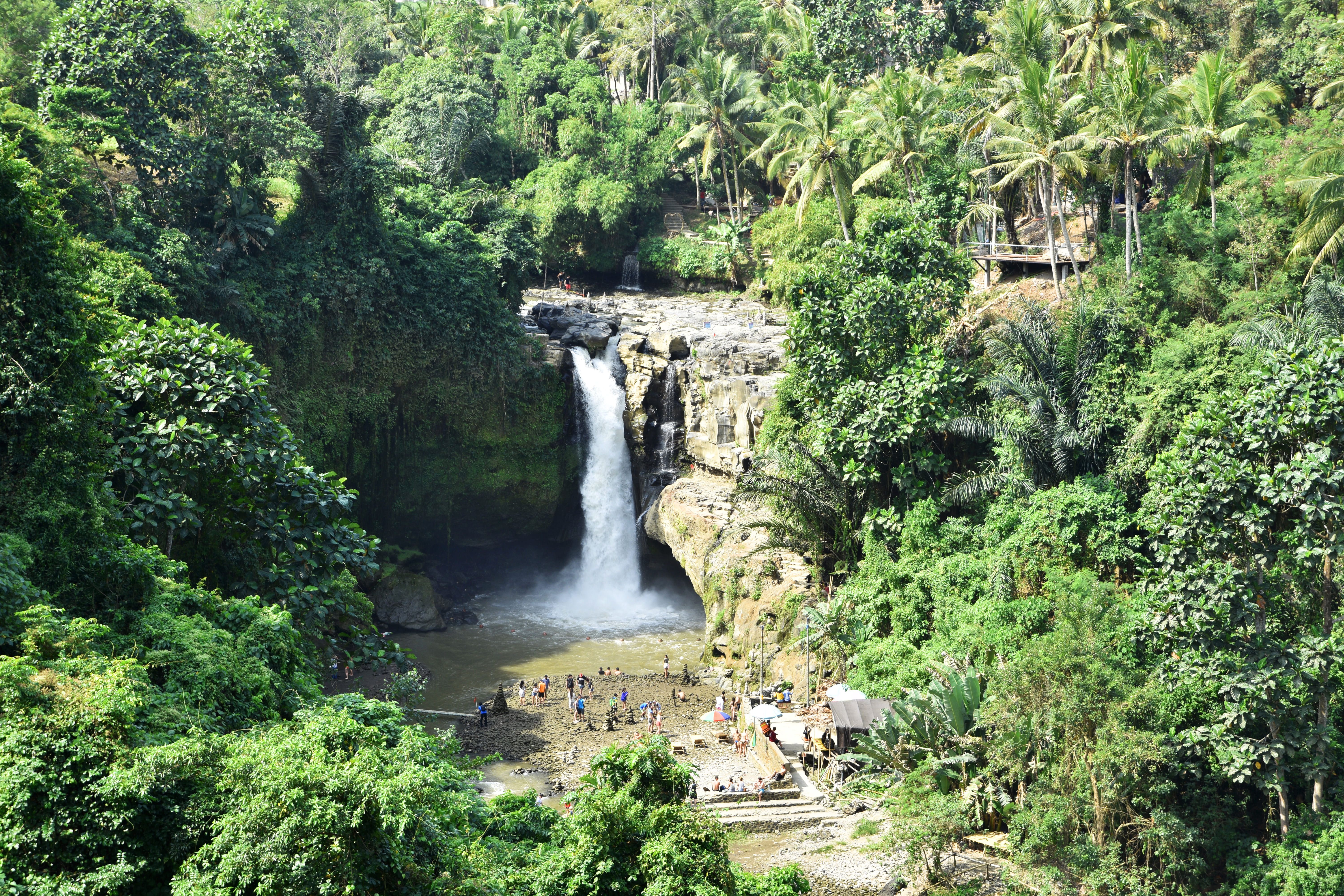 shutterstock_1155575962 (1).jpg