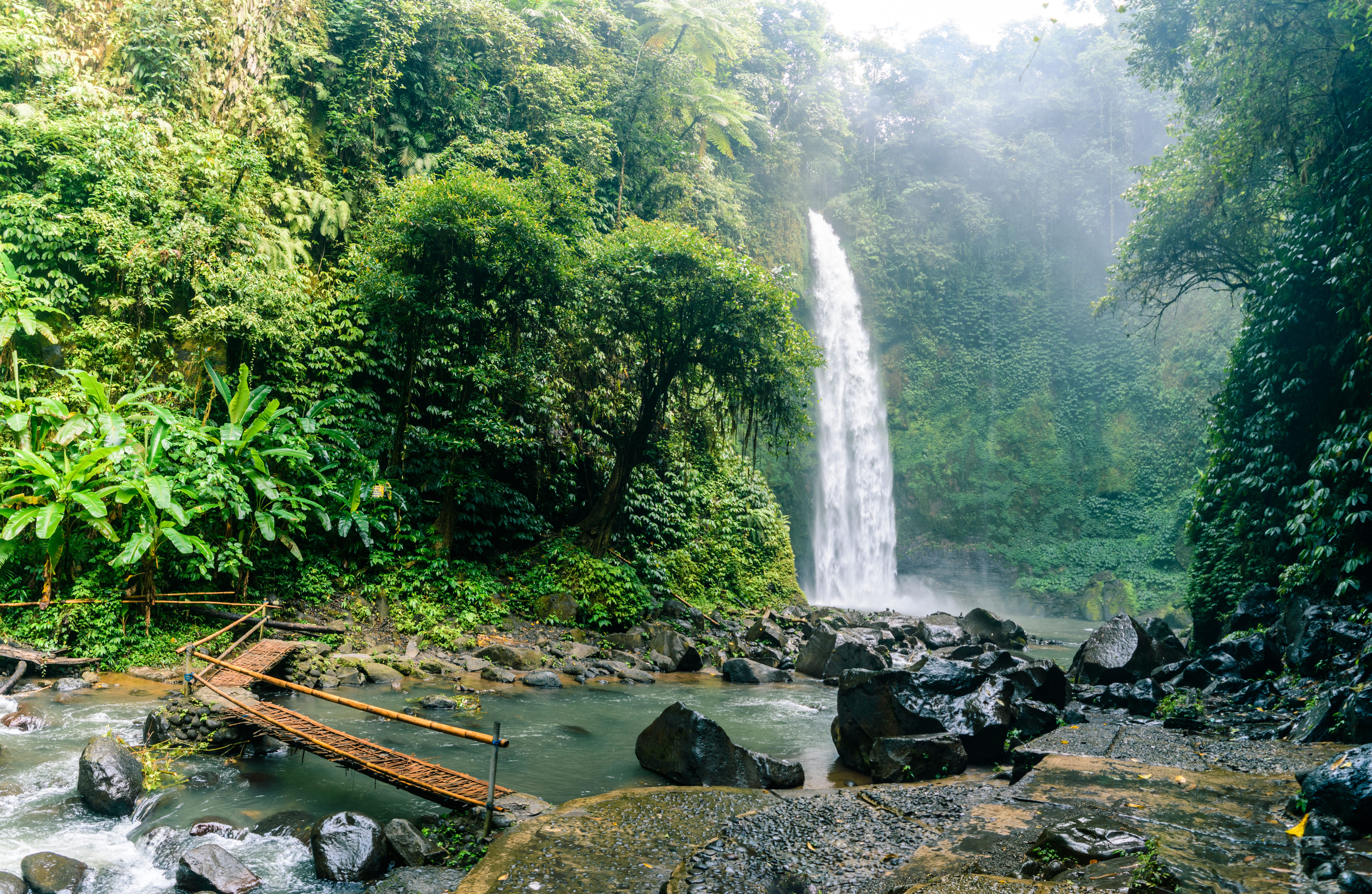 shutterstock_1281253633 (1).jpg