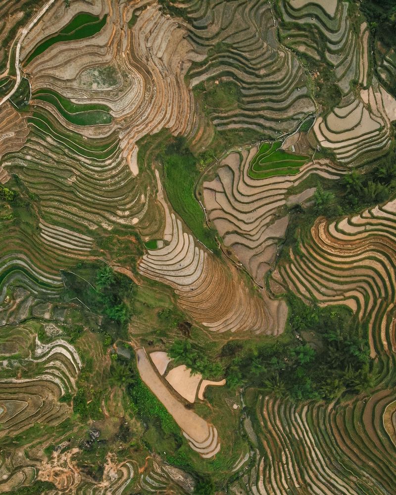 Рисовые террасы в Сапе, Вьетнам