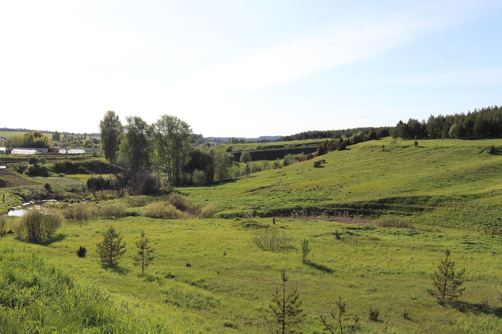 Поля в Удмуртии