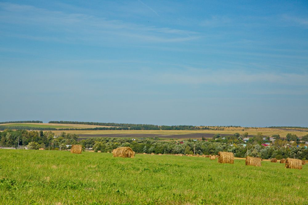 Сенокос в Мордовии