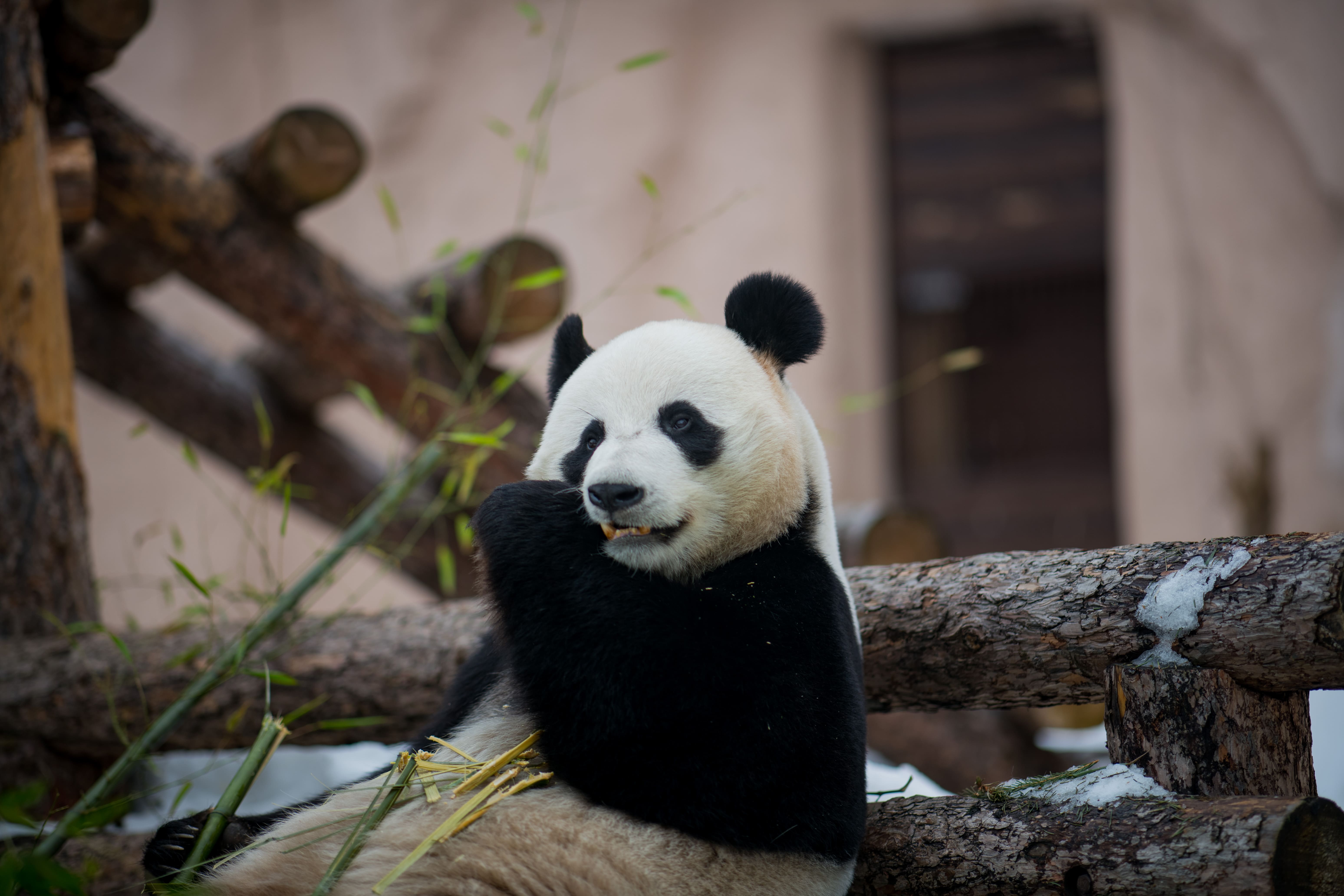 shutterstock_1929966830 (1).jpg