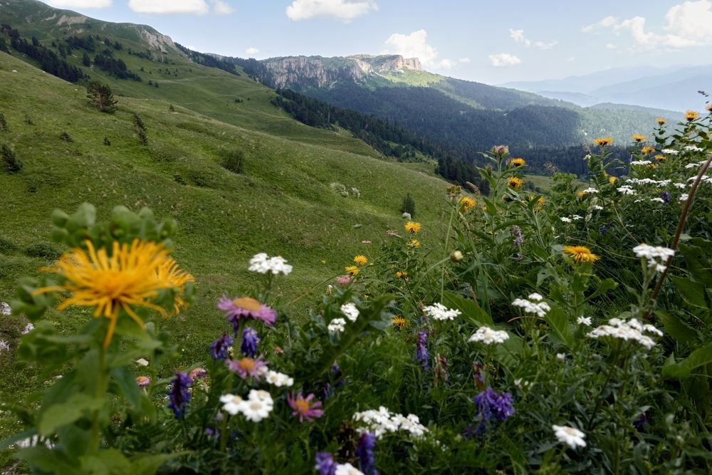 Плато Лаго-Наки