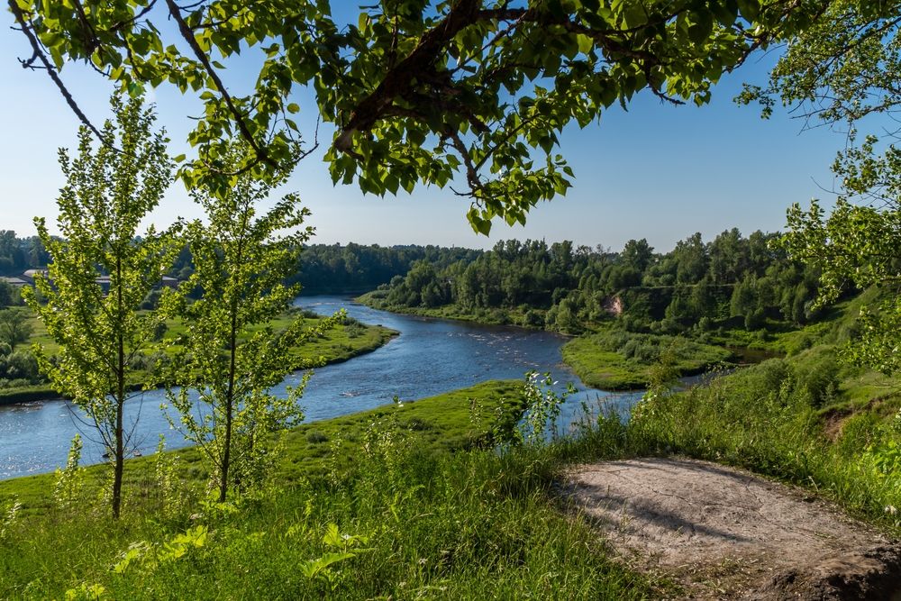Река Мста в Новгородской области