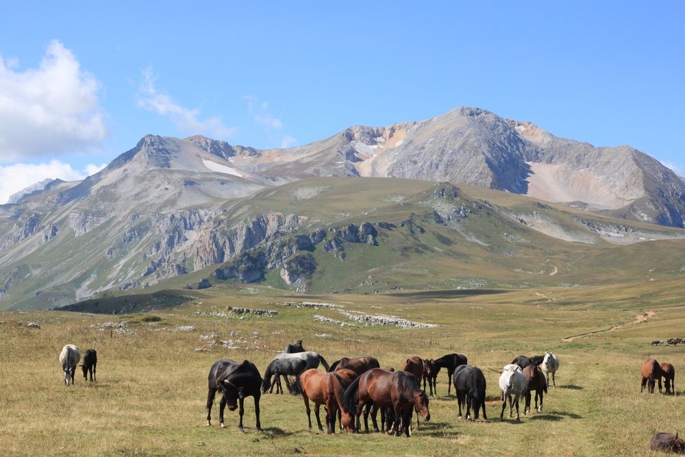 Плато Лаго-Наки