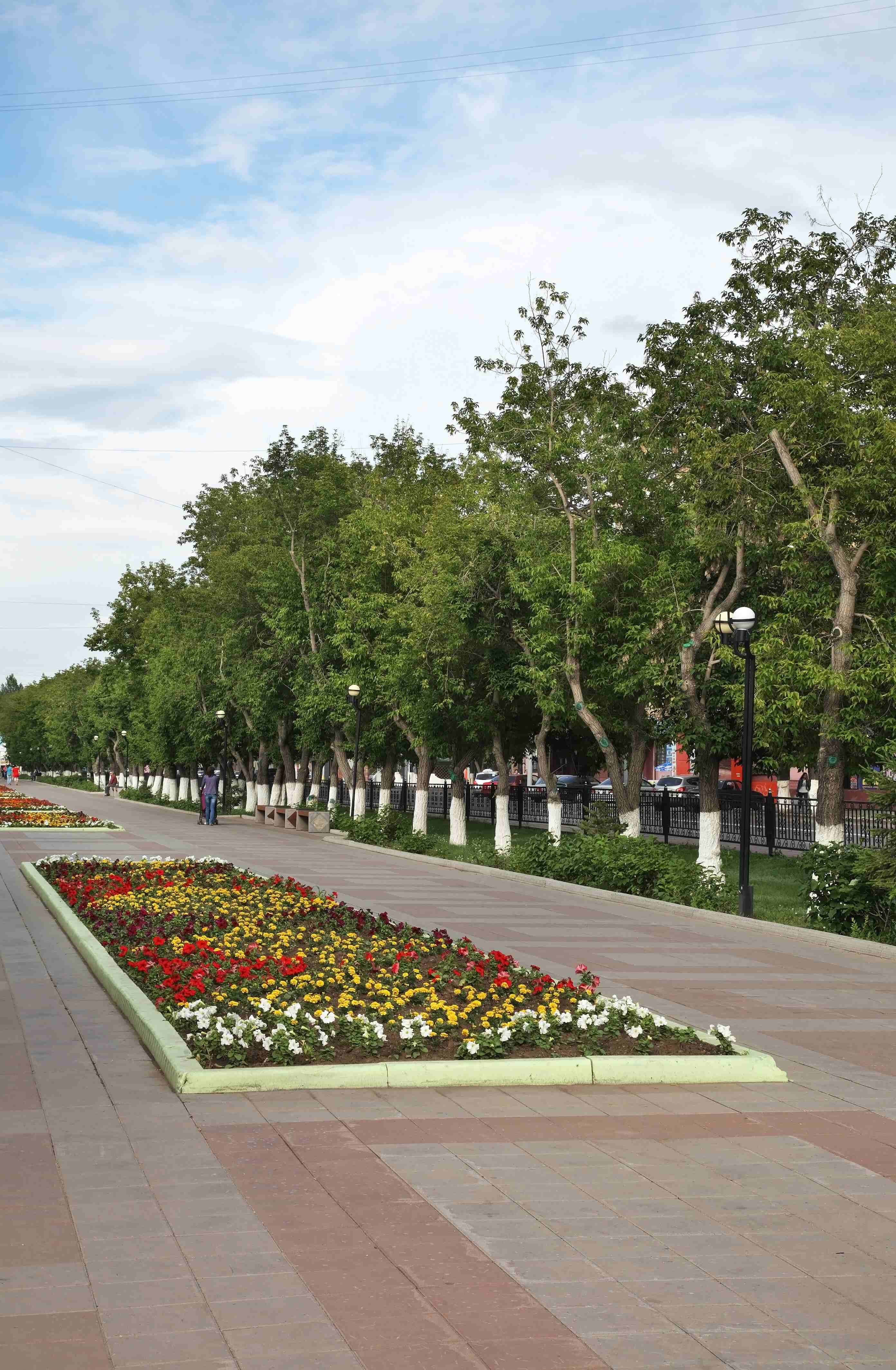 shutterstock_2204125105 (1).jpg