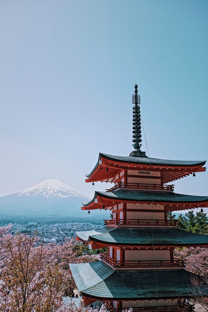 Сакура на фоне горы Фудзи и пагоды