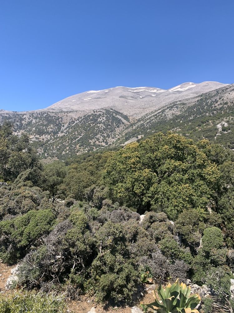 Гора Ида на Крите