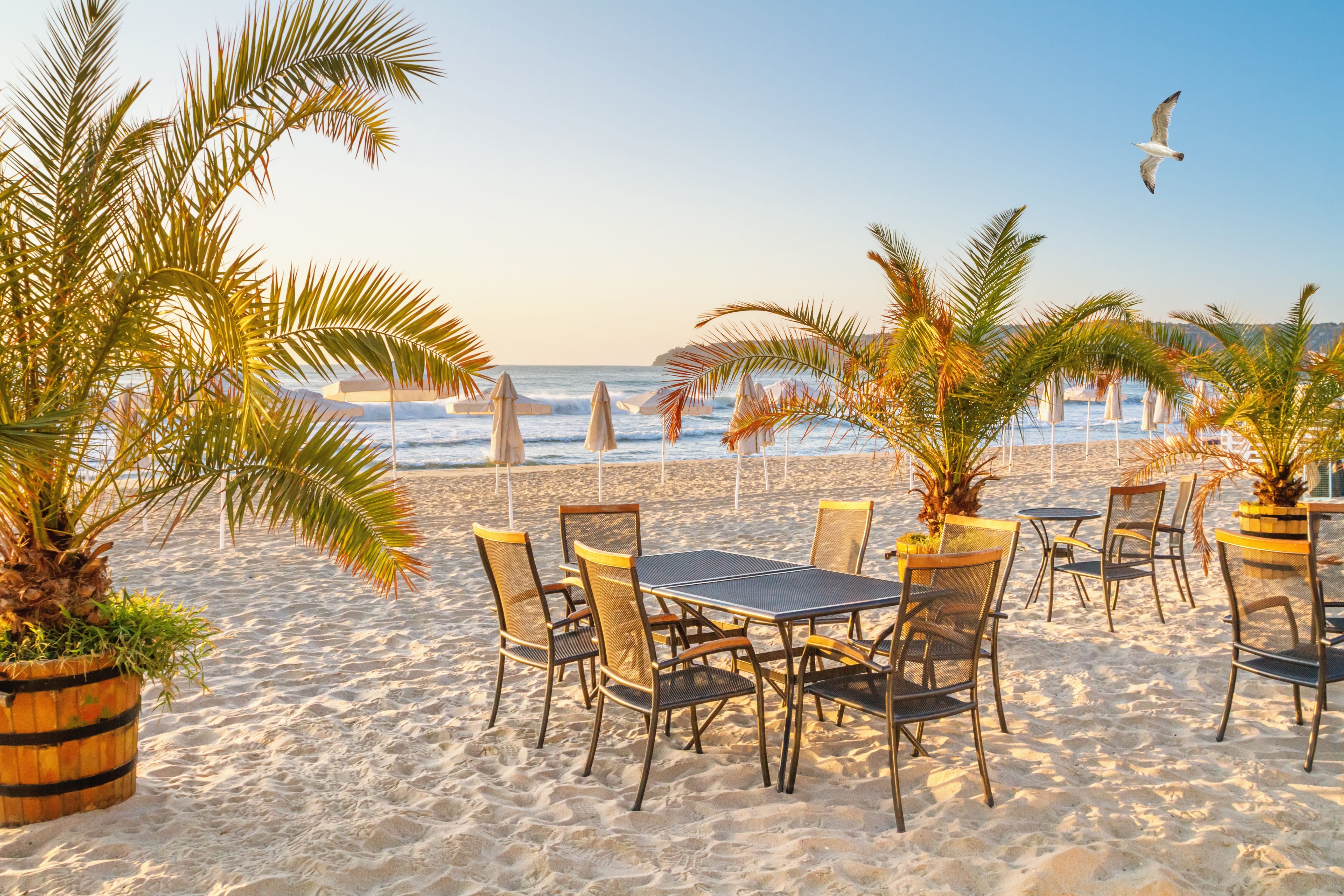 shutterstock_2568046621 (1).jpg