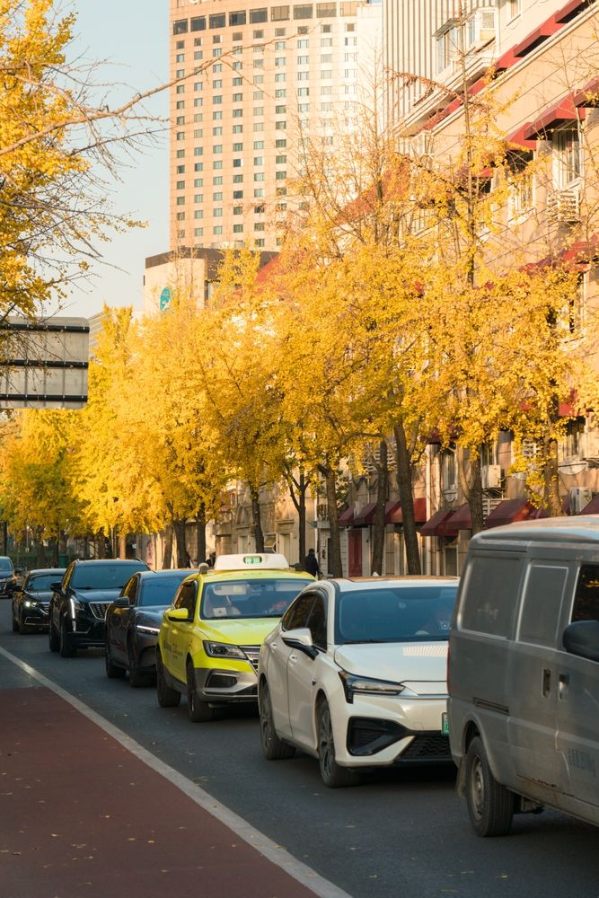 Дорога в Шанхае, Китай