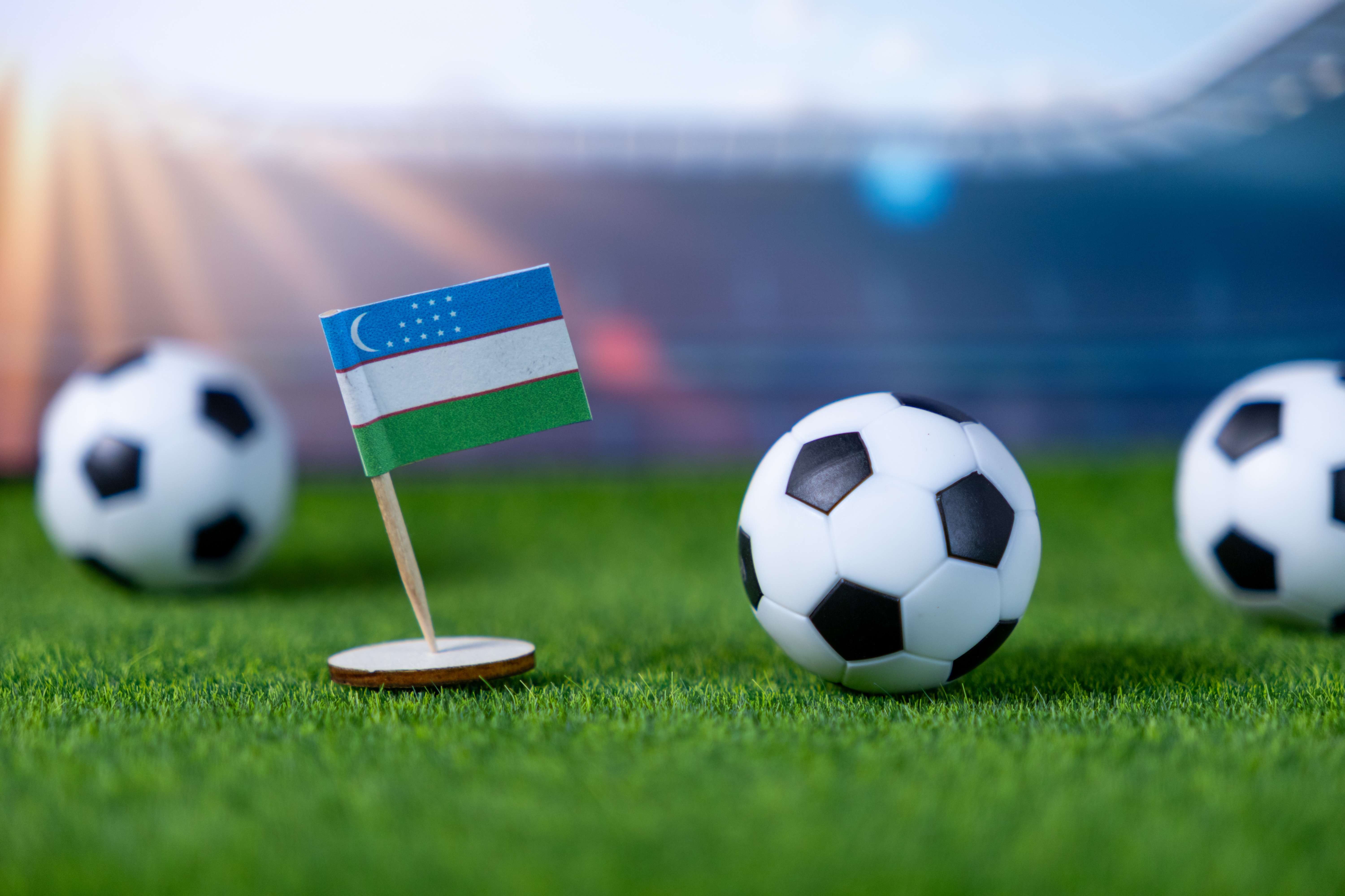 shutterstock_2646843573 (1).jpg