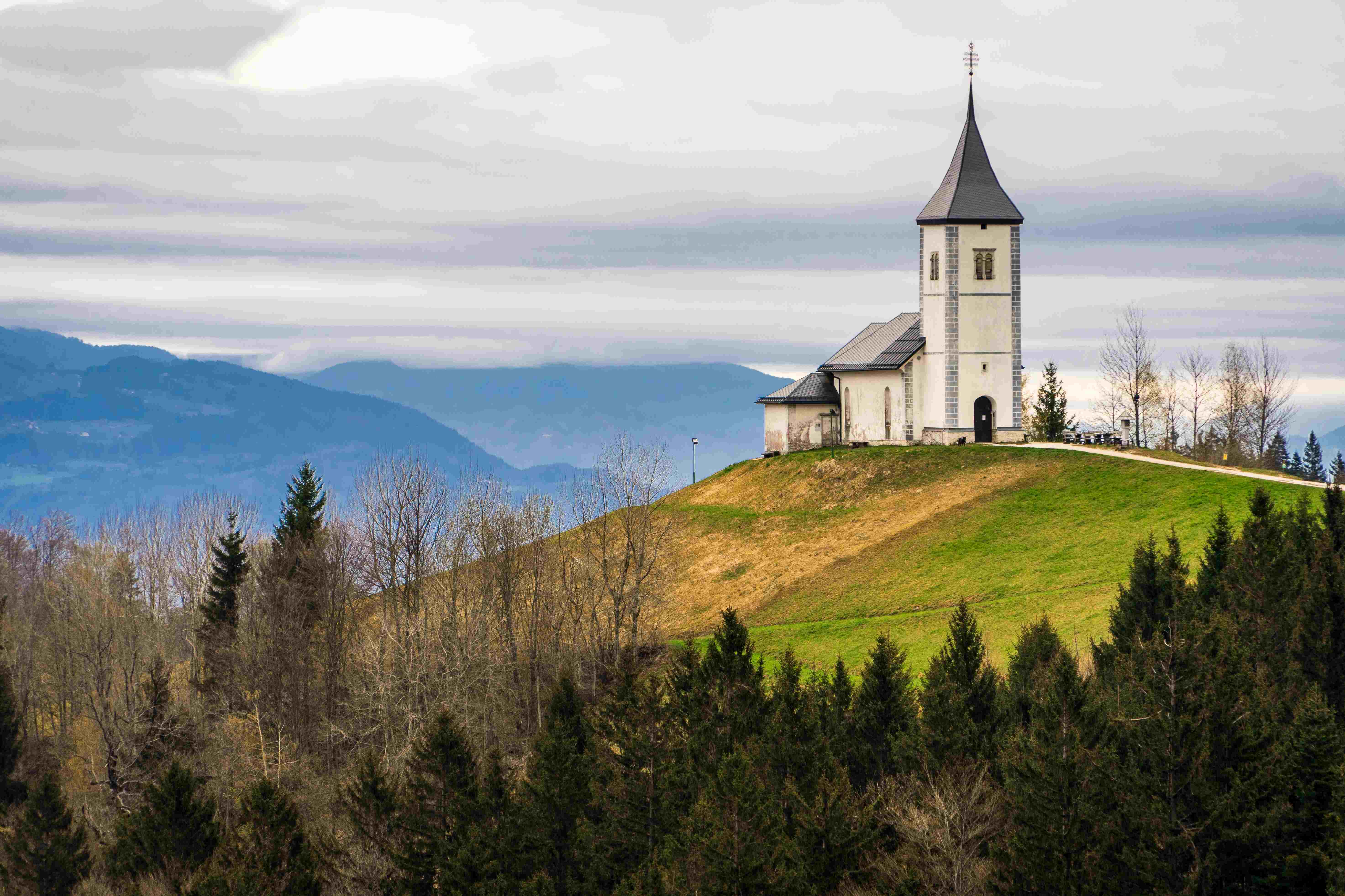 shutterstock_2718164871 (1).jpg