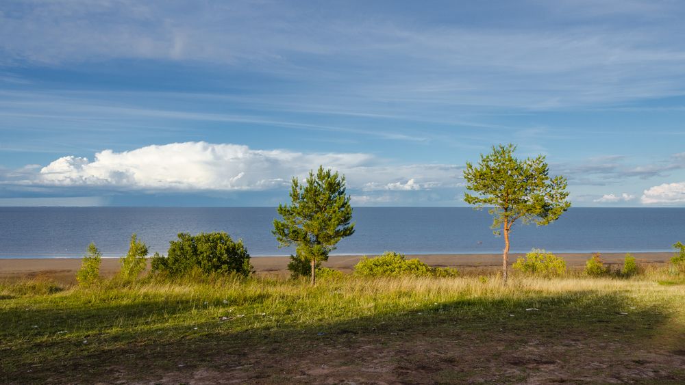 Озеро Ильмень