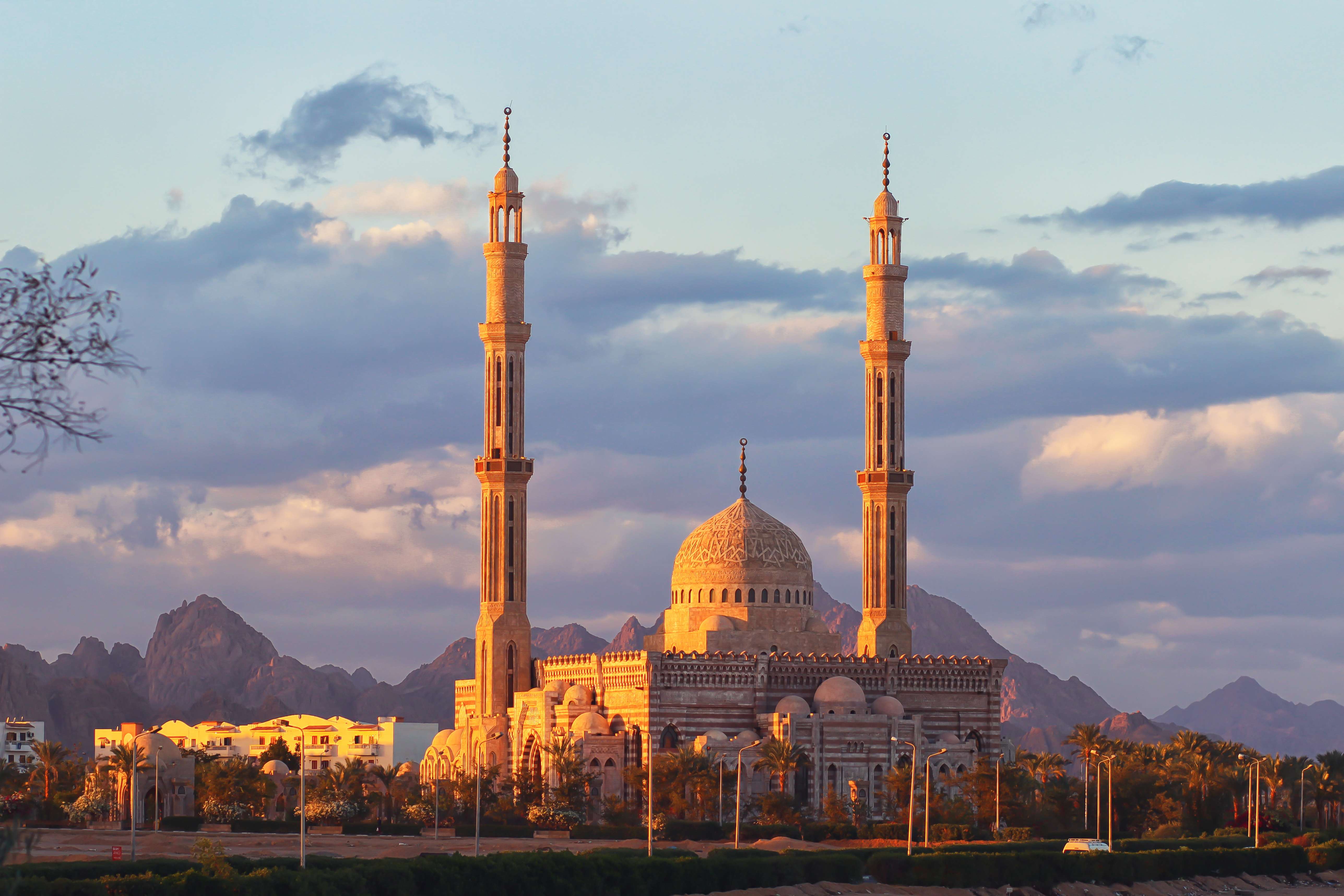 shutterstock_707851558 (1).jpg